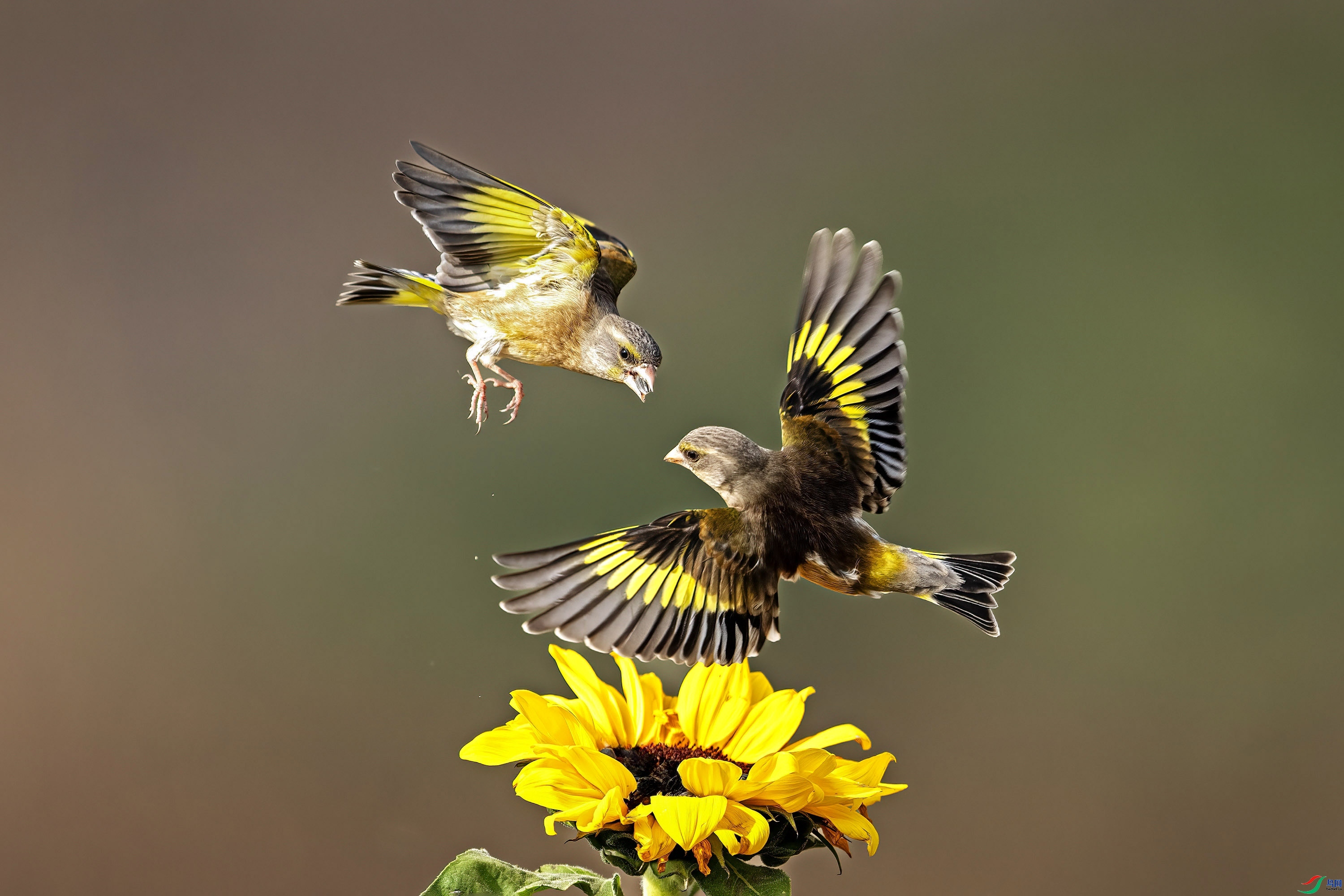 4.2 ������ʦ��Ʒ  �ػ�  �ٻ�2024��4��2��������ҳ����.jpg