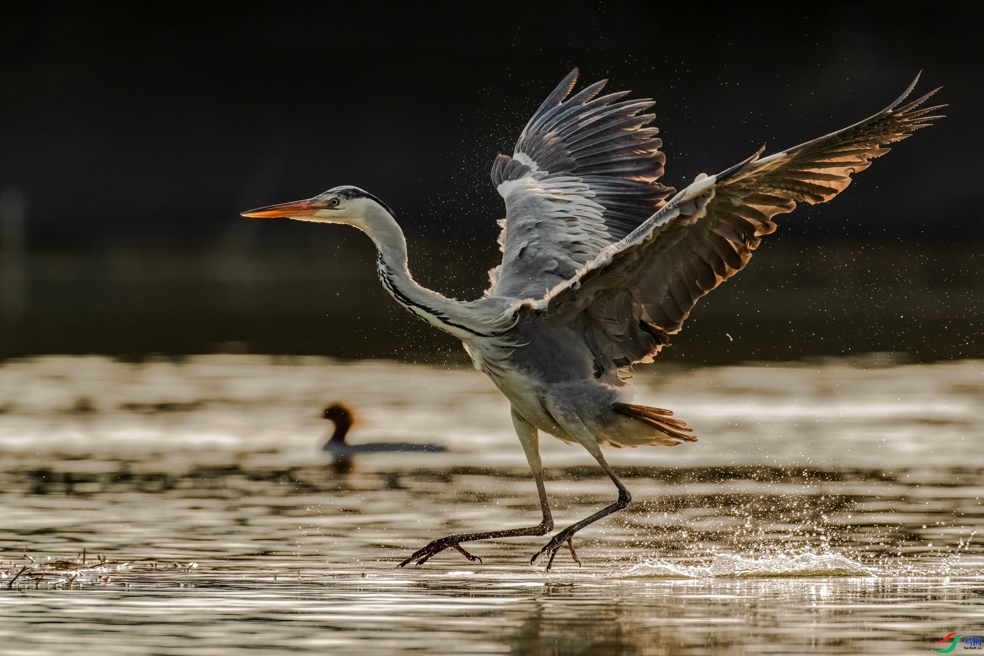 4.3 ��ʯɽ����ʦ��Ʒ  ����  �ٻ�2024��4��3��������ҳ����.jpg