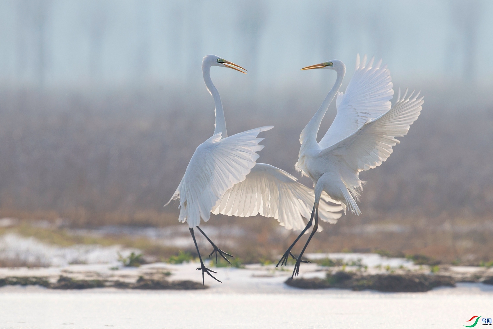 4.3 ��Х��ʦ��Ʒ  ����֮��  �ٻ�2024��4��3�հ�����ҳ����.jpg