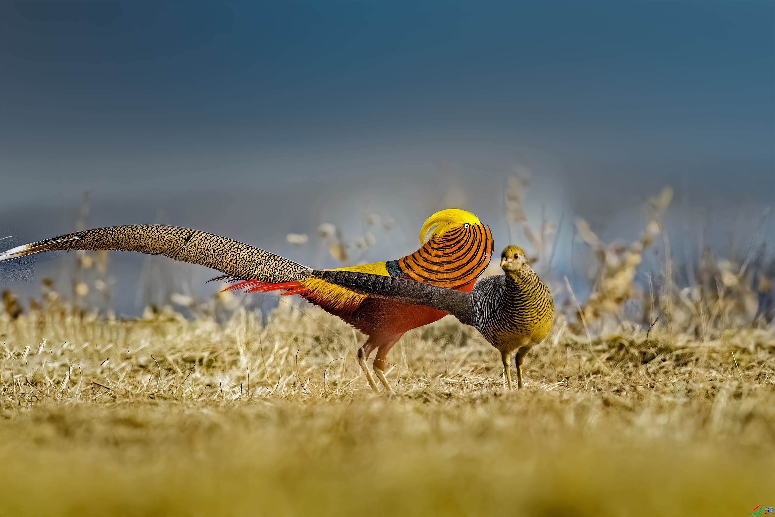 4.3 ������ʦ��Ʒ  ��˵�����Ļ�  �ٻ�2024��4��3��������ҳ����.jpg