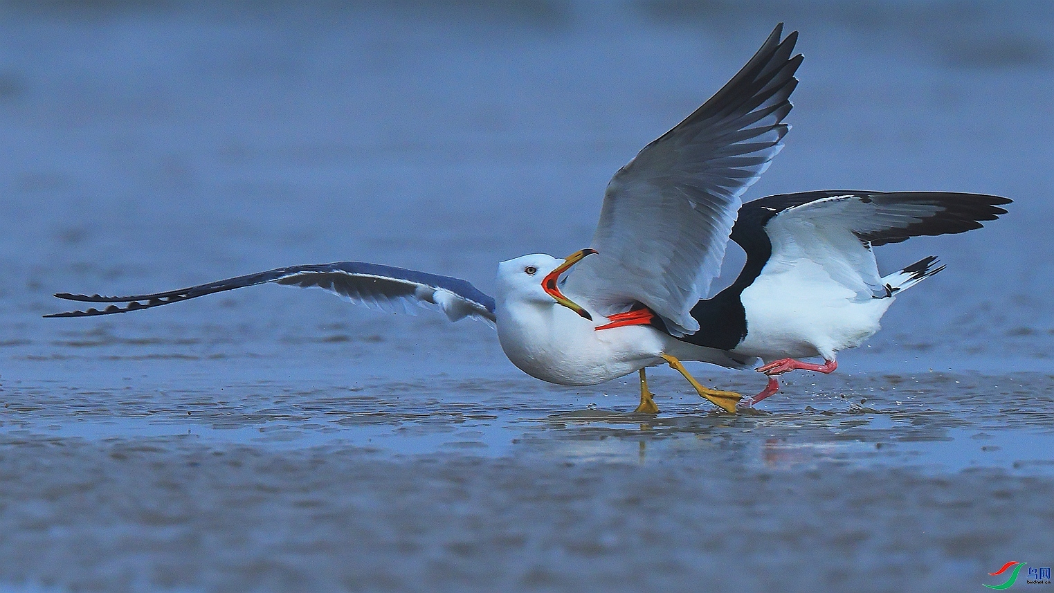 4.4 �����۽���ʦ��Ʒ  �����뱻����  �ٻ�2024��4��4����Ӱʦ��ҳ����.jpg