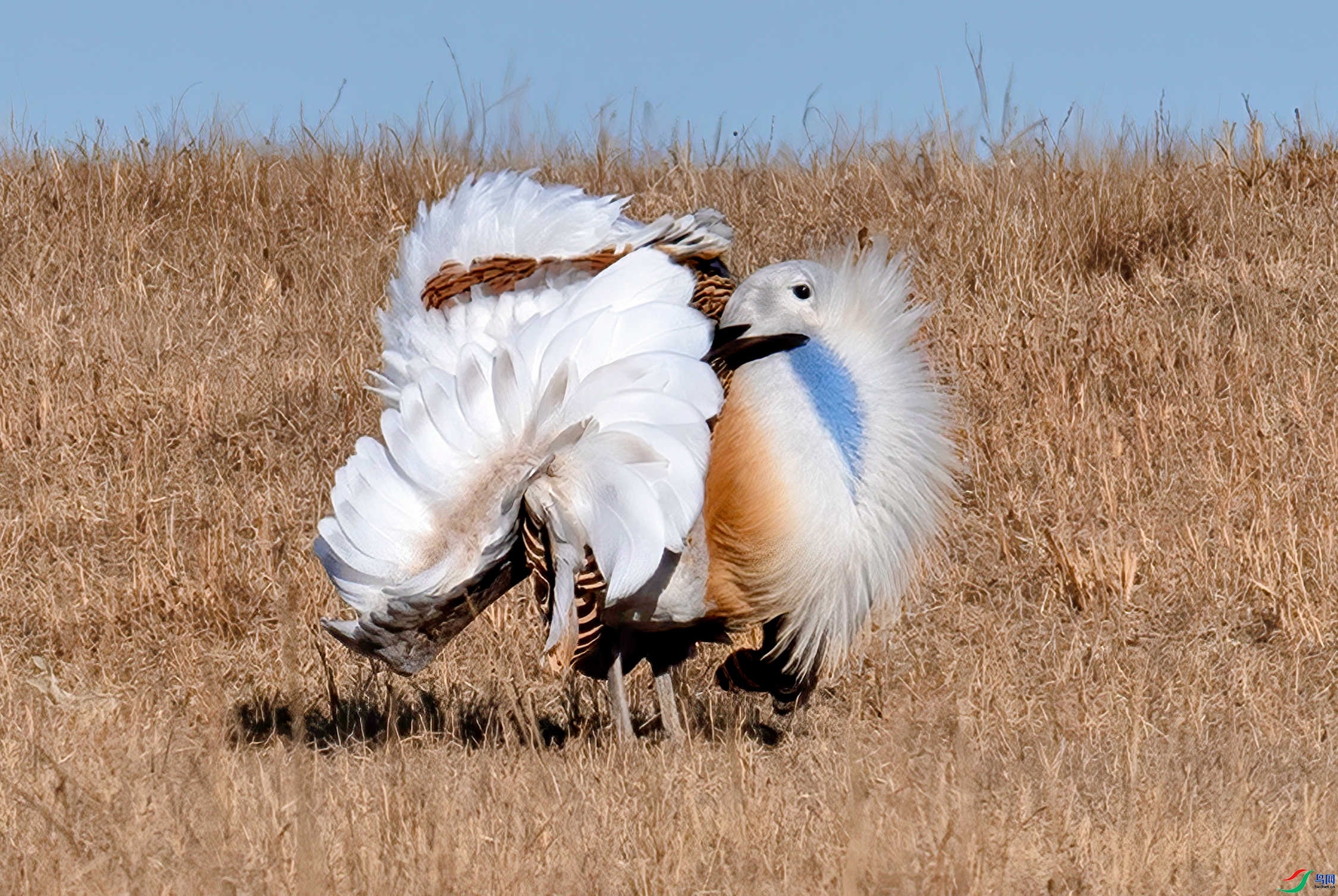 4.4 ����������ʦ��Ʒ  ���鿪���Ĵ��  �ٻ�2024��4��4�ջ�Ա��ҳ����.jpg