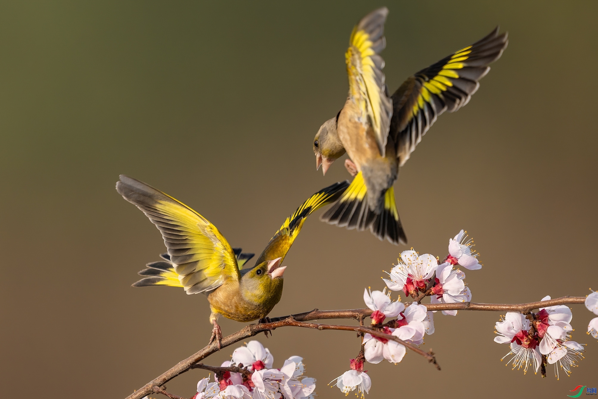 4.4 ����������ʦ��Ʒ  ����Ծ�  �ٻ�2024��4��4����Ӱʦ��ҳ����.jpg