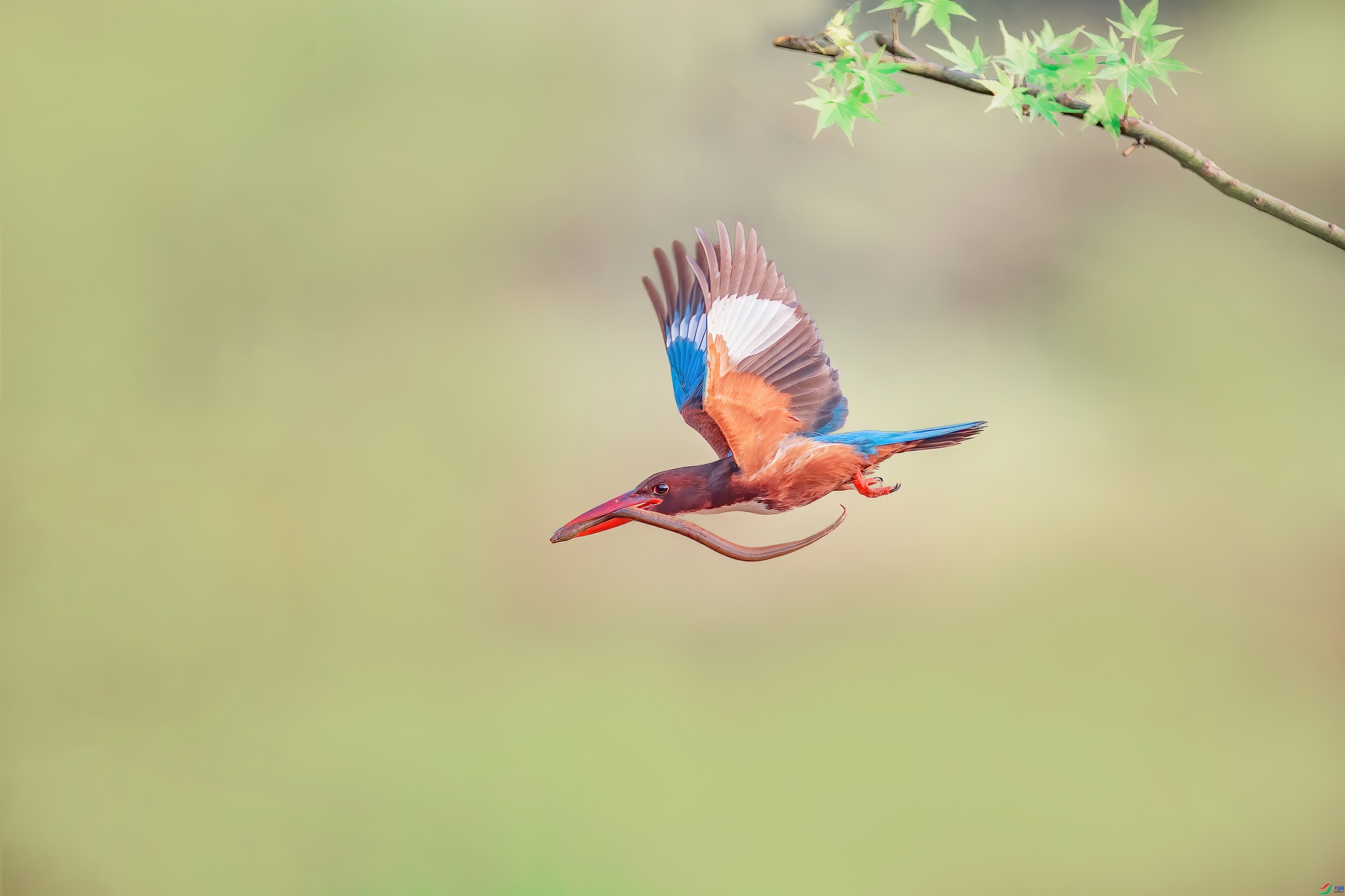 4.4 С������ʦ��Ʒ  ���Թ���  �ٻ�2024��4��4�հ�����ҳ����.jpg