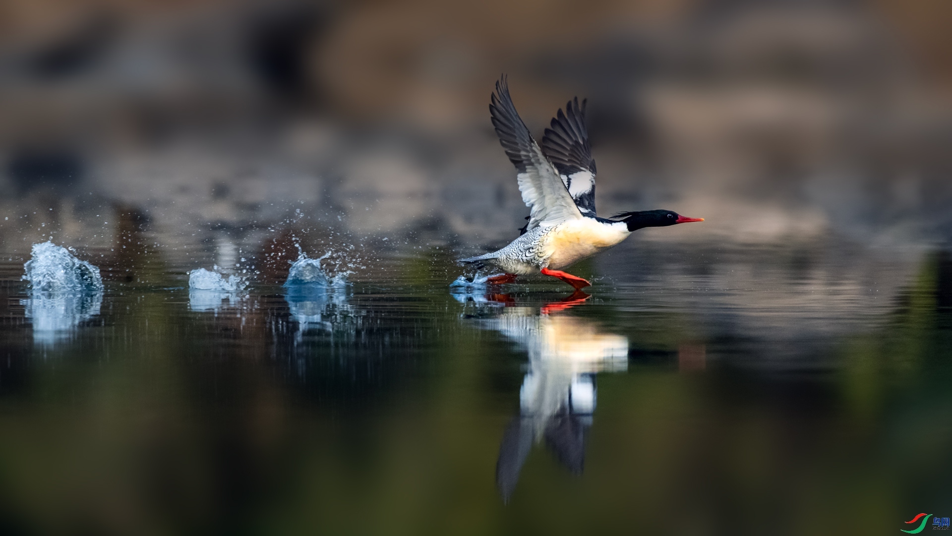 4.4 ���볤����ʦ��Ʒ  ��ɳѼ  �ٻ�2024��4��4��������ҳ����.jpg