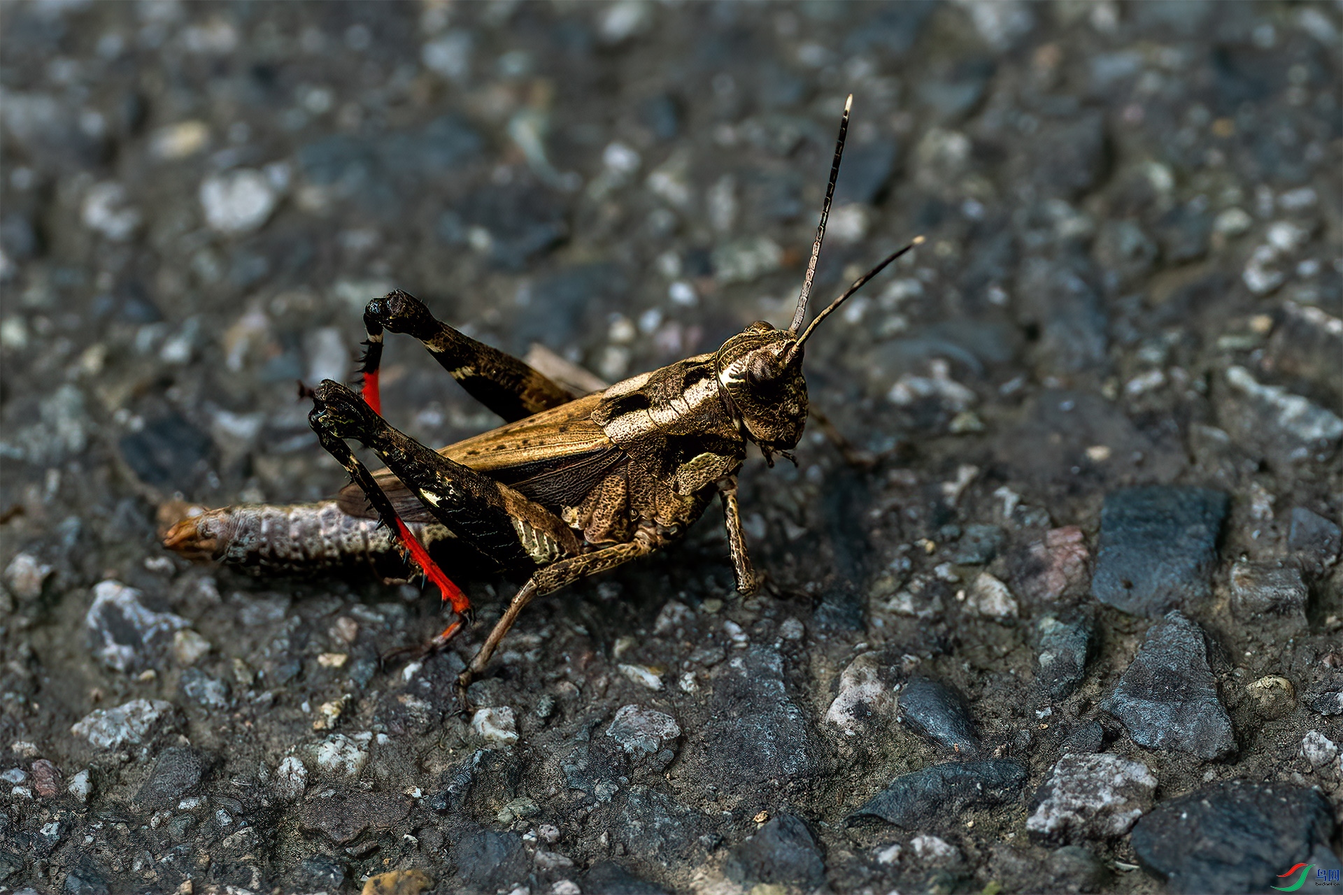P8041385-1�ȳ�.jpg