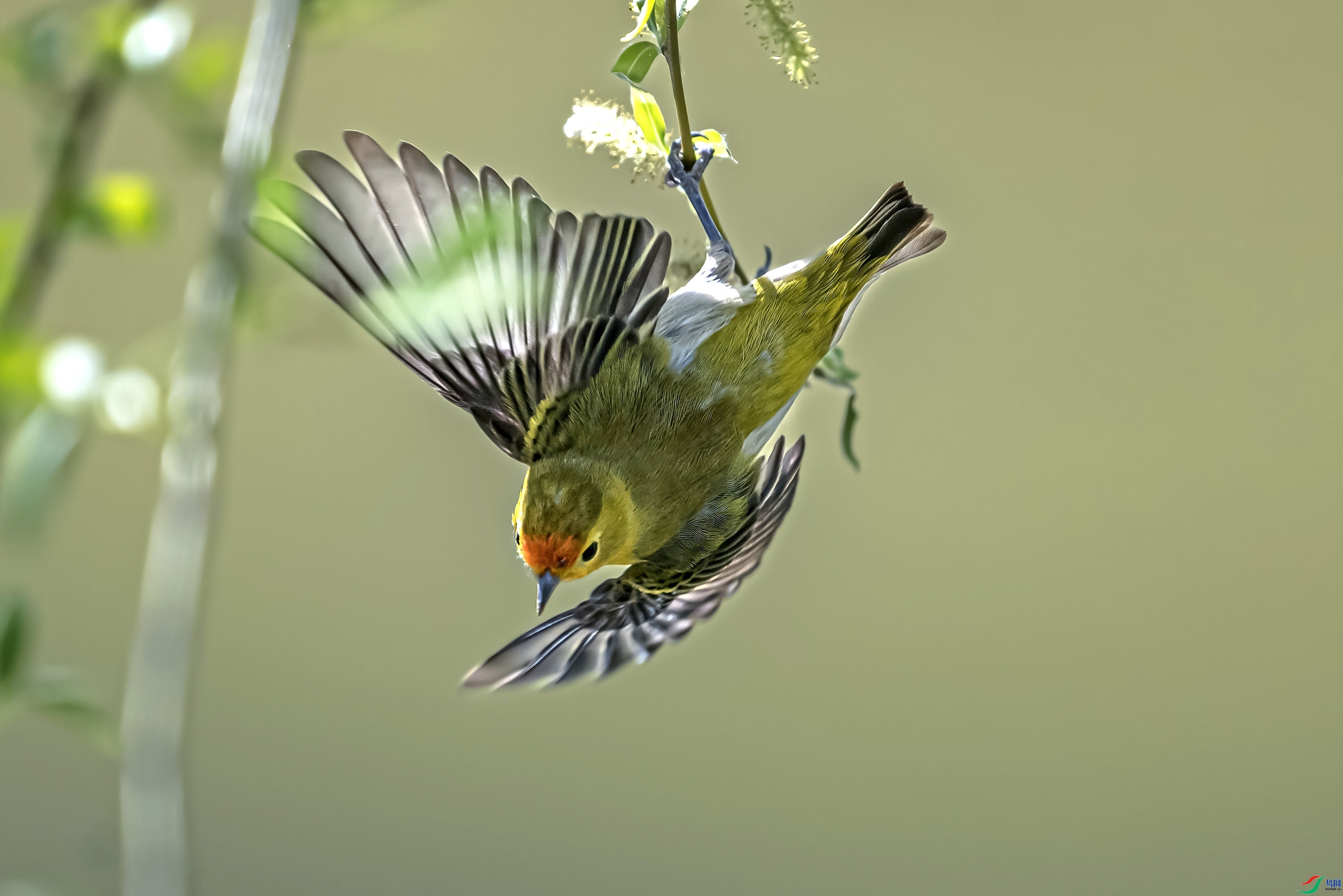 4.4 ������ʦ��Ʒ  ���ȸ  �ٻ�2024��4��4��������ҳ����.jpg