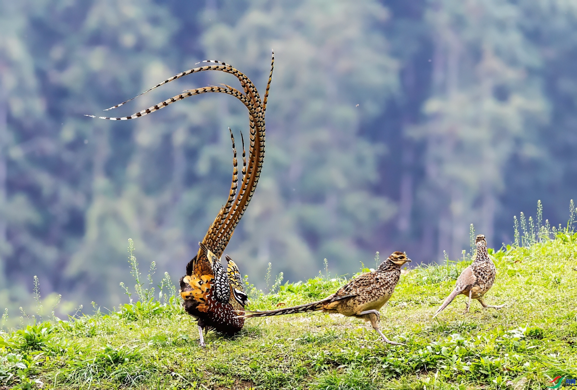 4.5 л������ʦ��Ʒ  ��׷��  �ٻ�2024��4��5�հ�����ҳ����.jpg