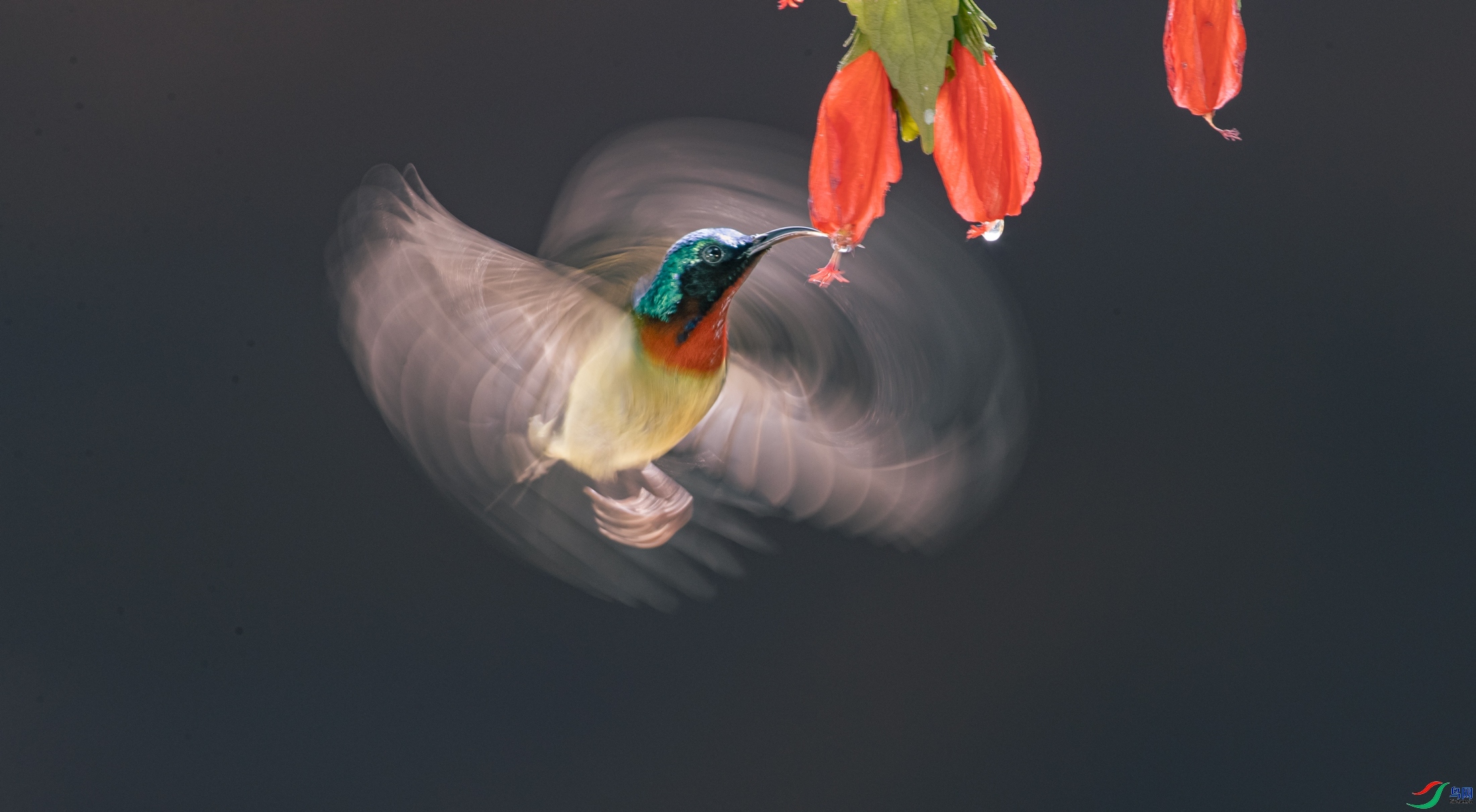 4.5 ������ʦ��Ʒ  �����  �ٻ�2024��4��5����Ӱʦ��ҳ����.jpg