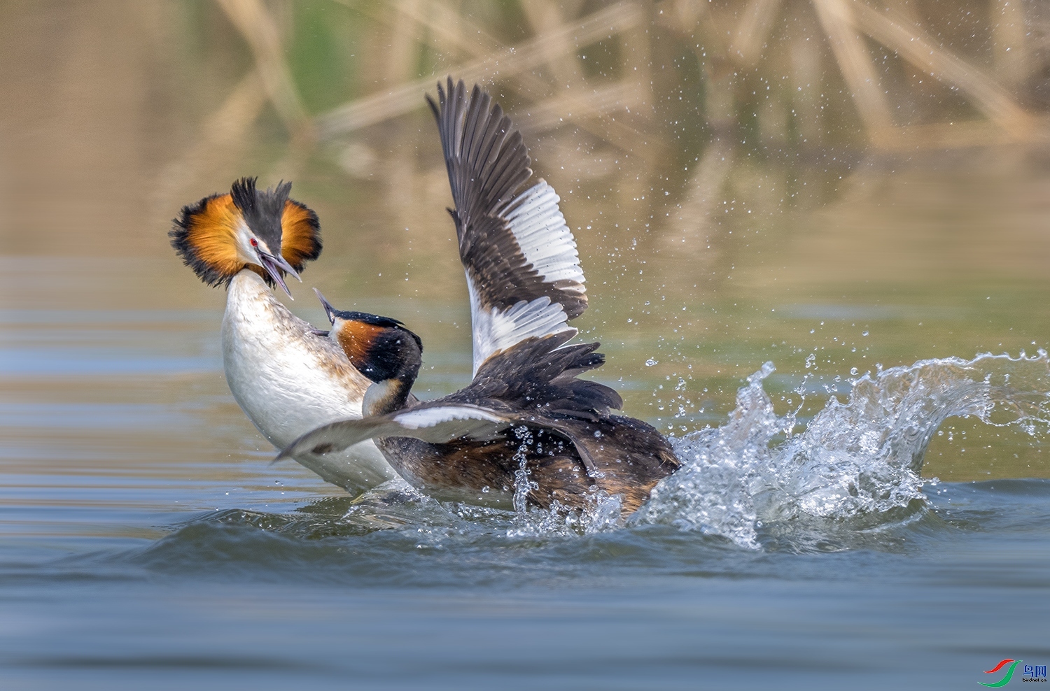 4.5 ����ǿ��ʦ��Ʒ  ˮ����  �ٻ�2024��4��5�հ�����ҳ����.jpg