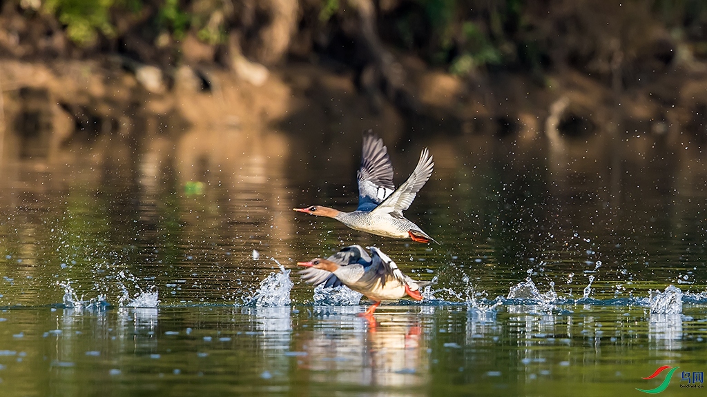 wy05_3189 ����.jpg