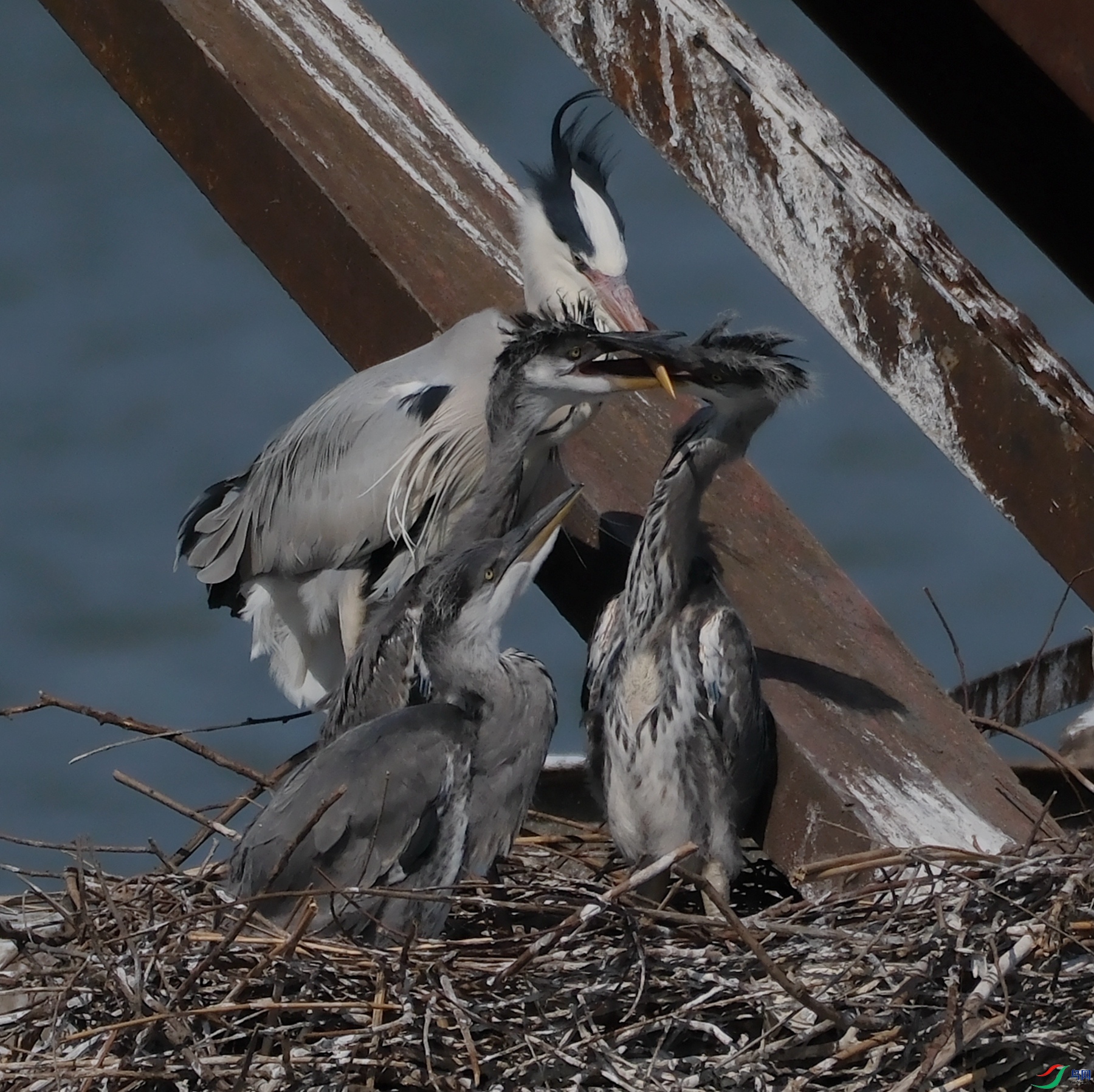 DSCF5801_����_����.jpg