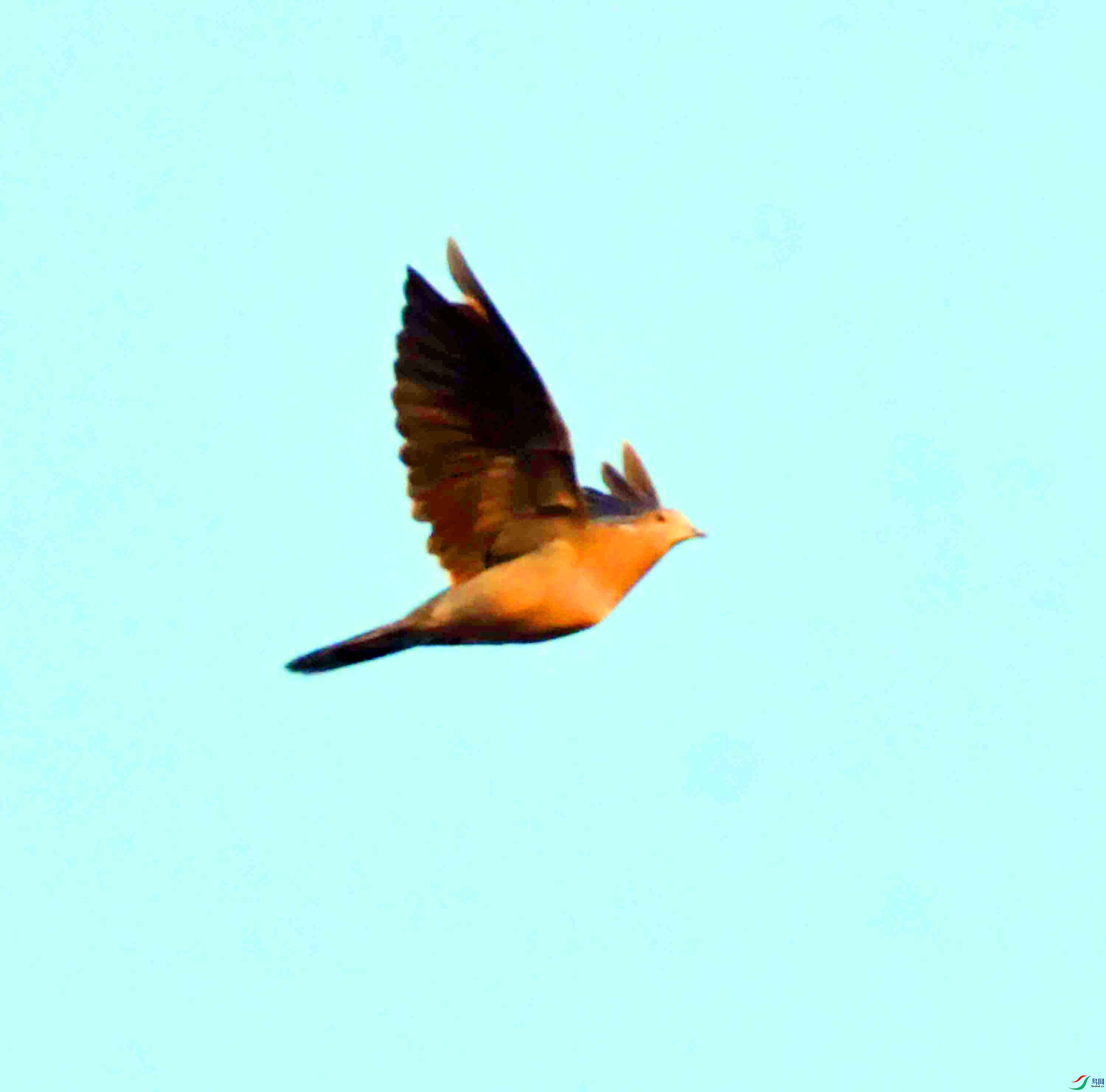 DSC_0322.JPG