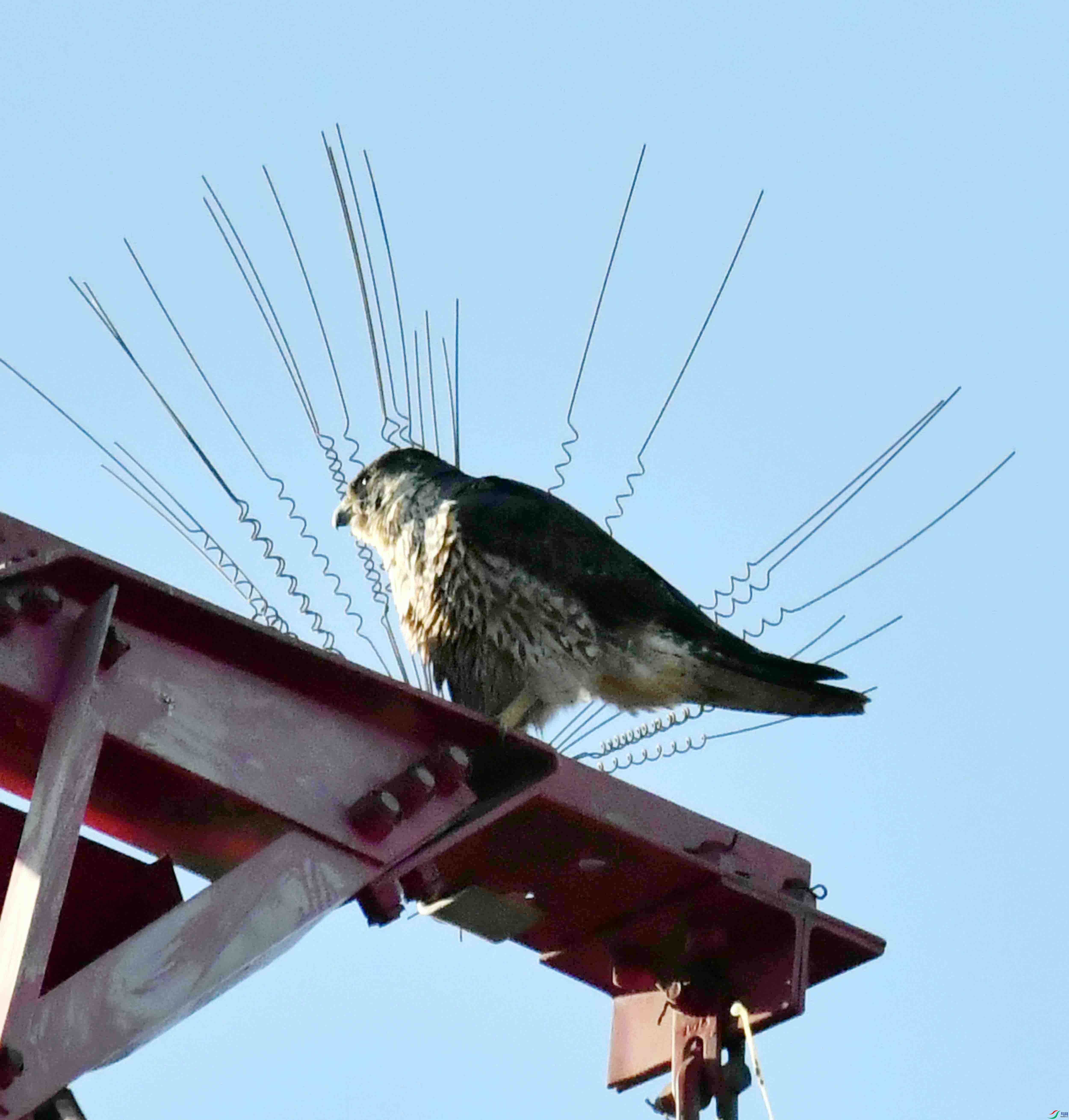 DSC_9203.JPG