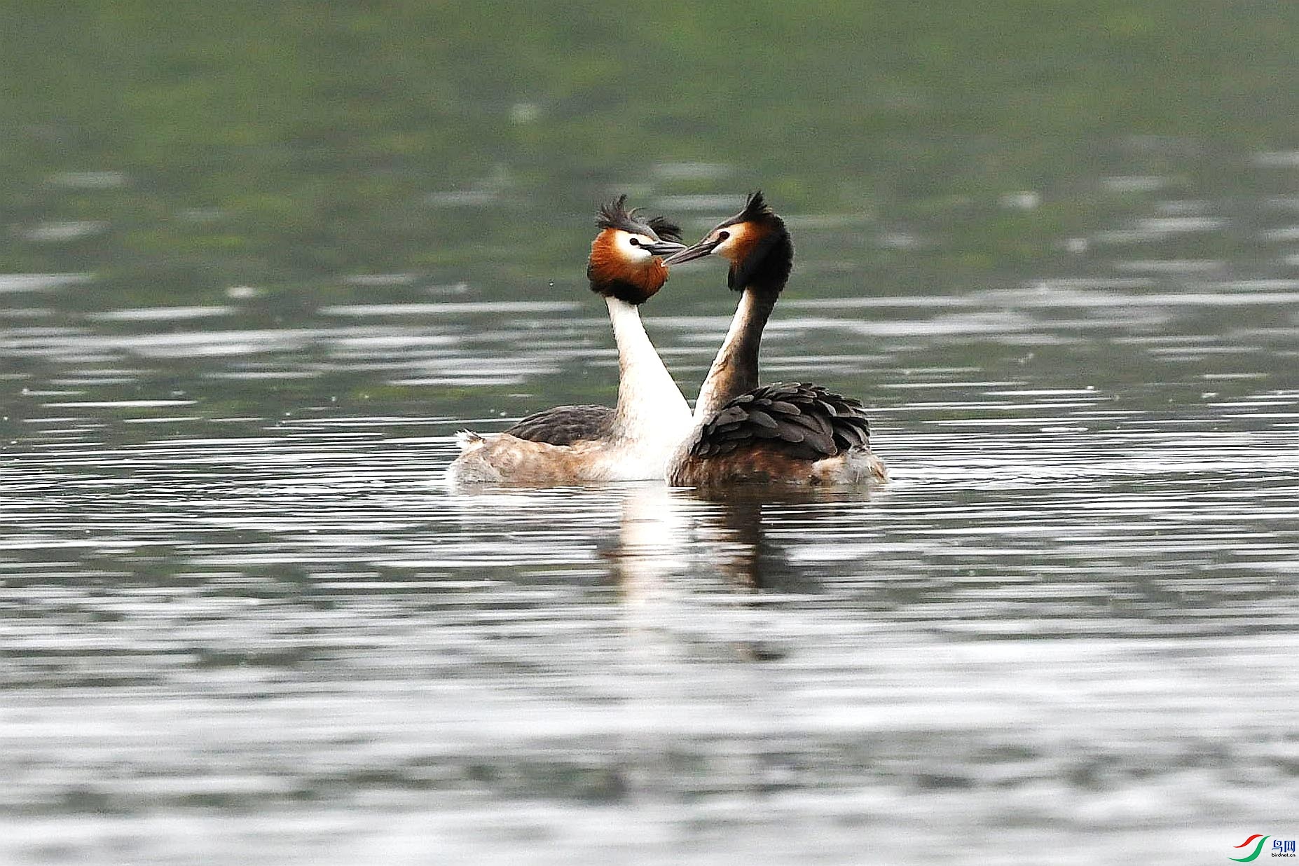 DSC_1092_����.jpg
