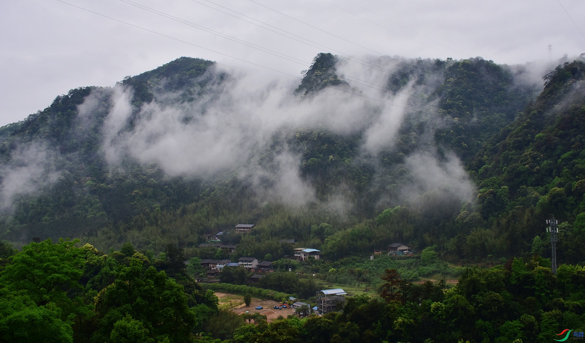 D8I_5355.jpg