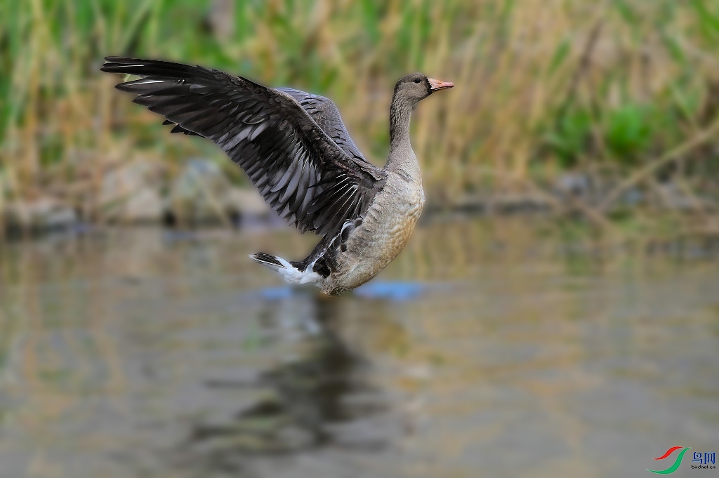 DSC_8189_���� ����.jpg