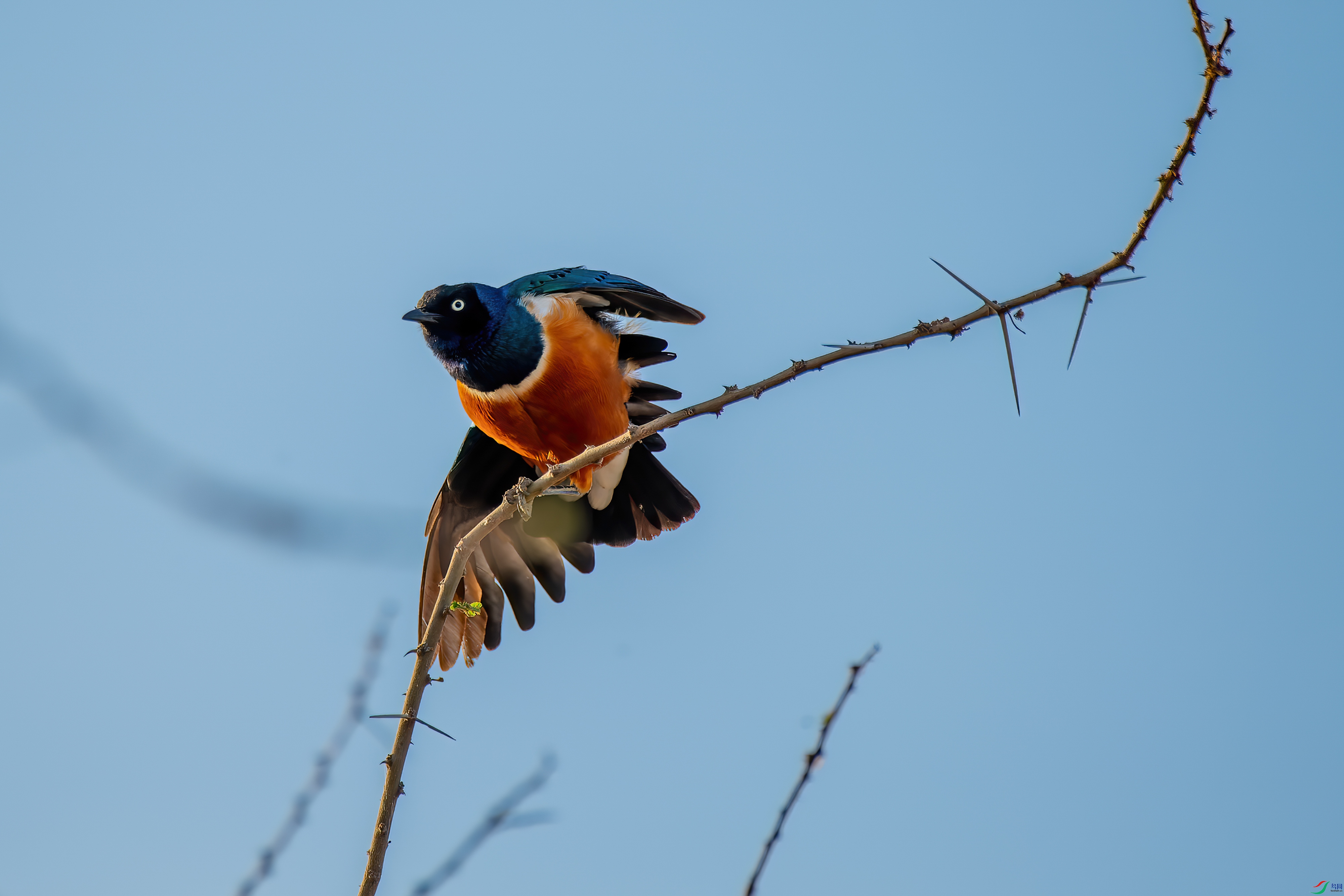 DSC_9355.jpg