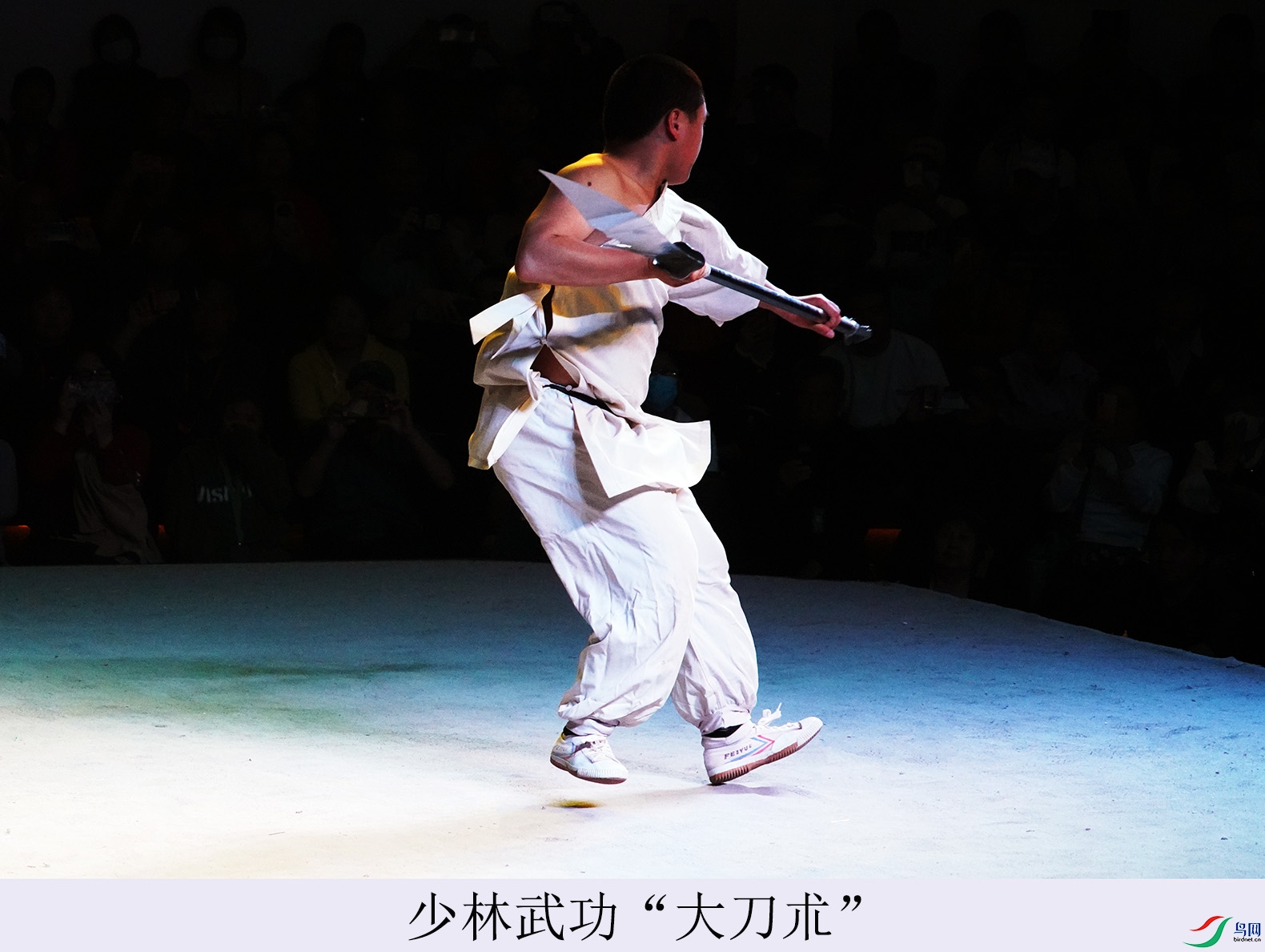 DSC07442.jpg