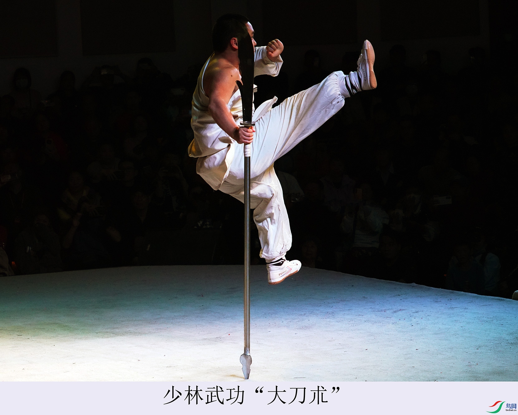 DSC07468.jpg