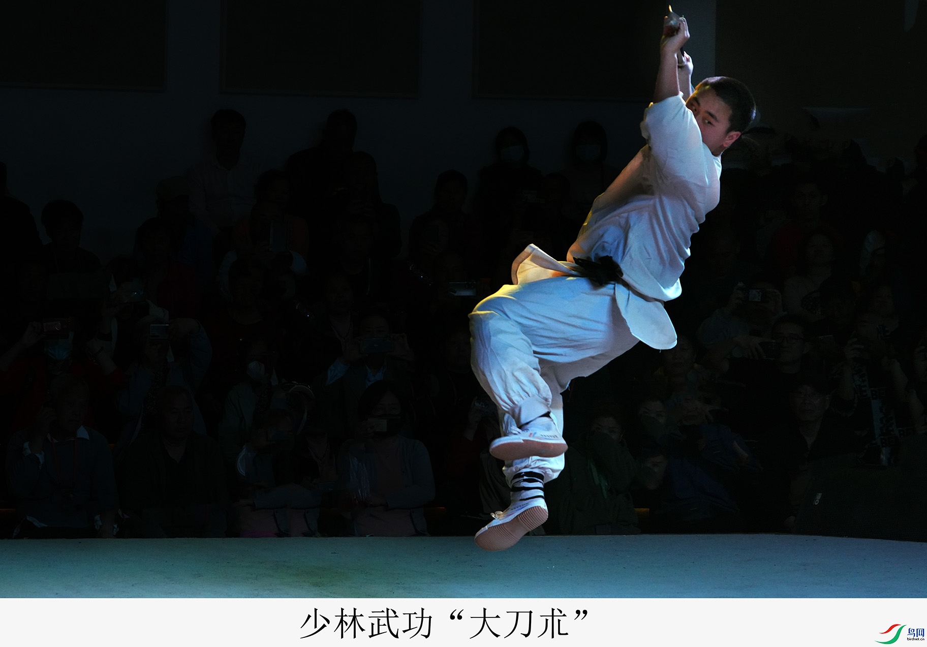 DSC07474.jpg