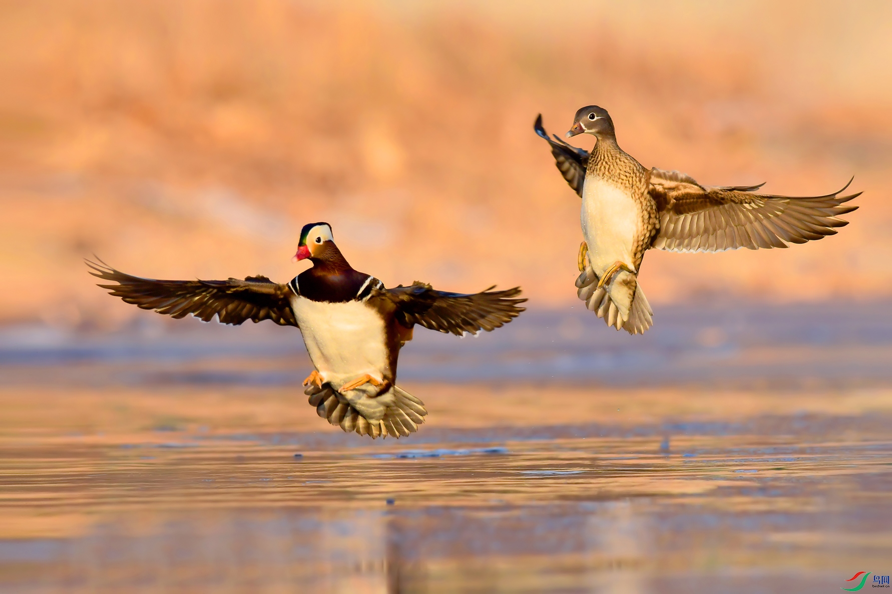 DSC_0543 ����.jpg