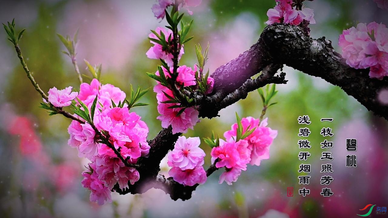 ����һ����ҿ�