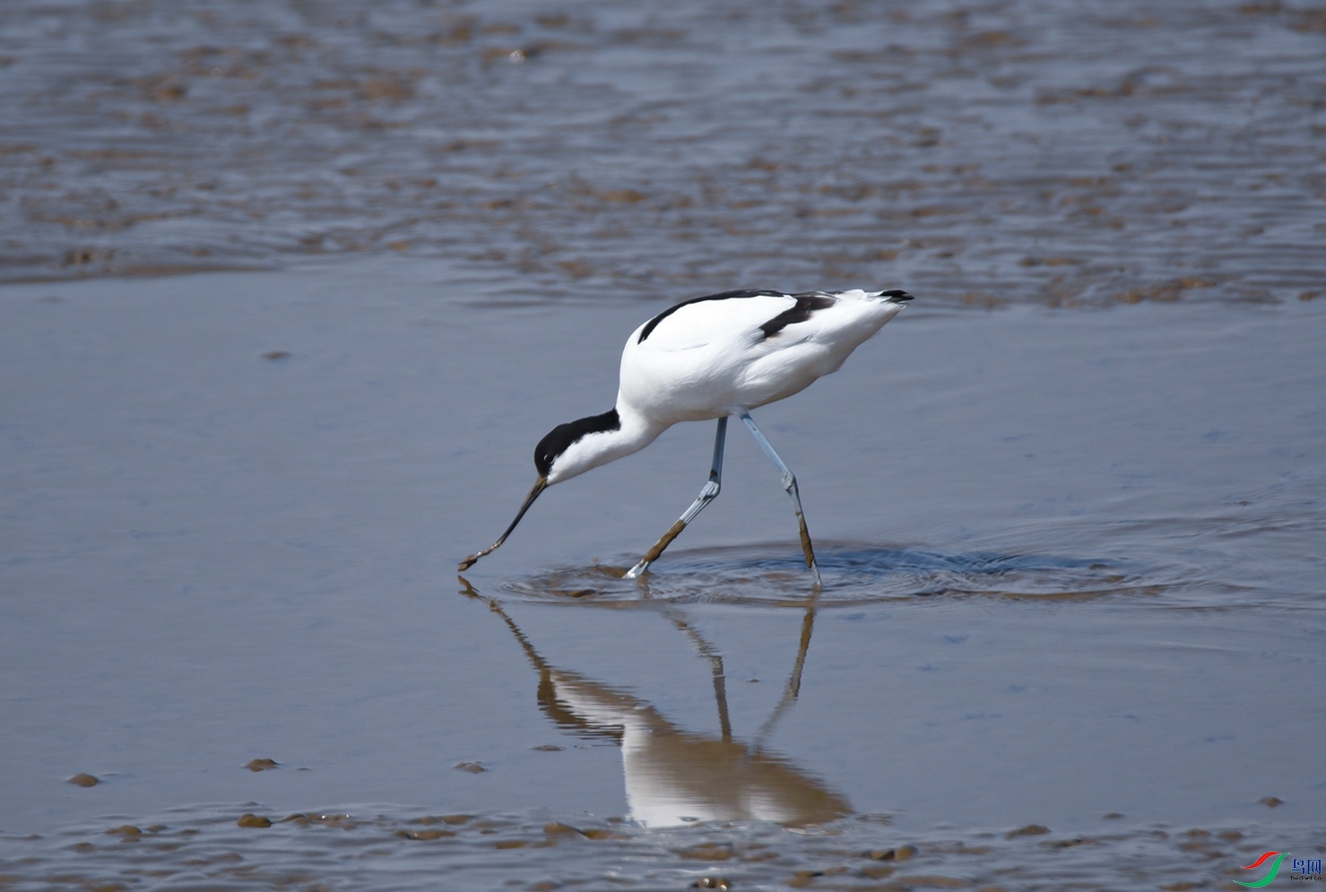 DSC_5423f.jpg
