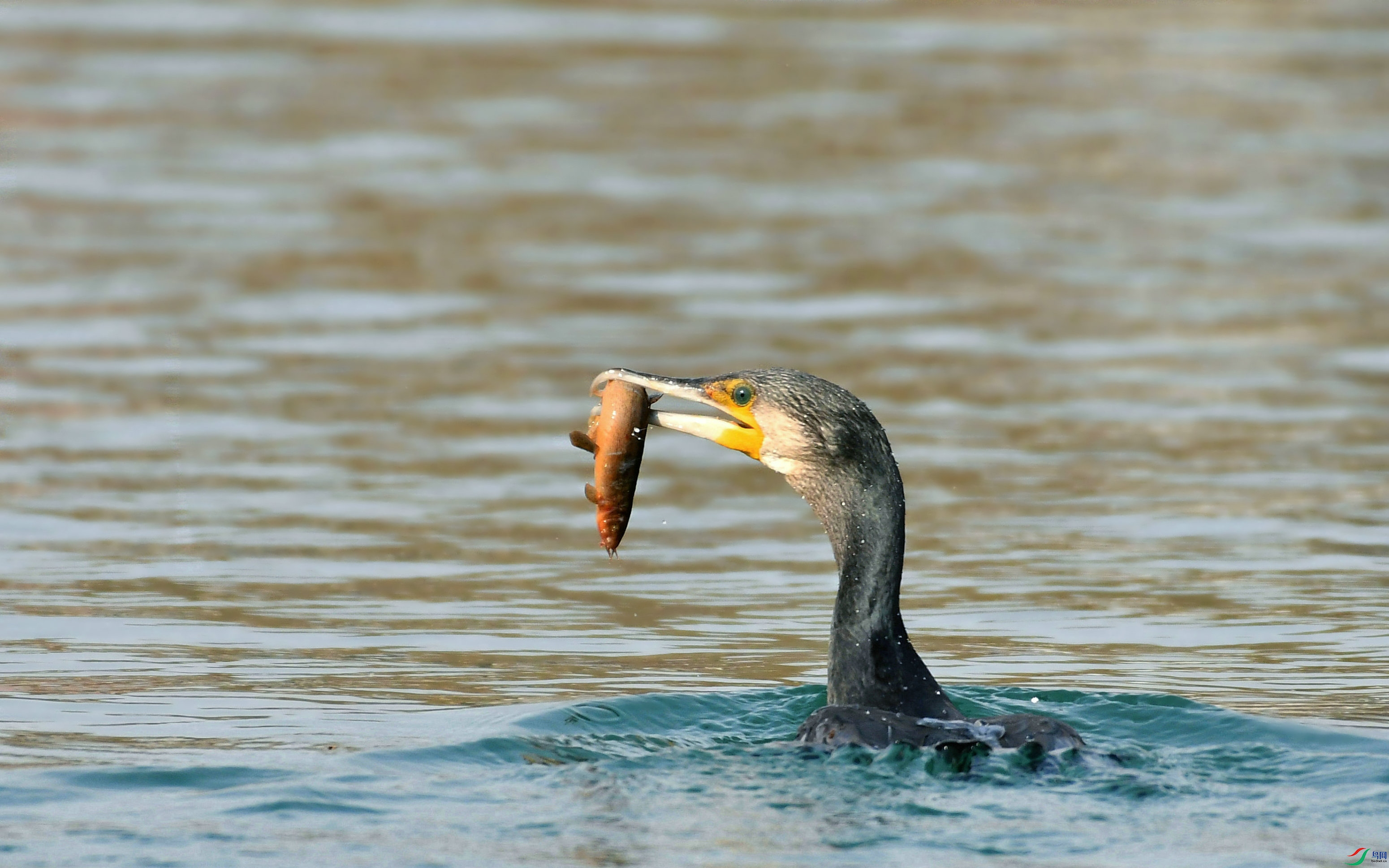 DSC_5163.JPG