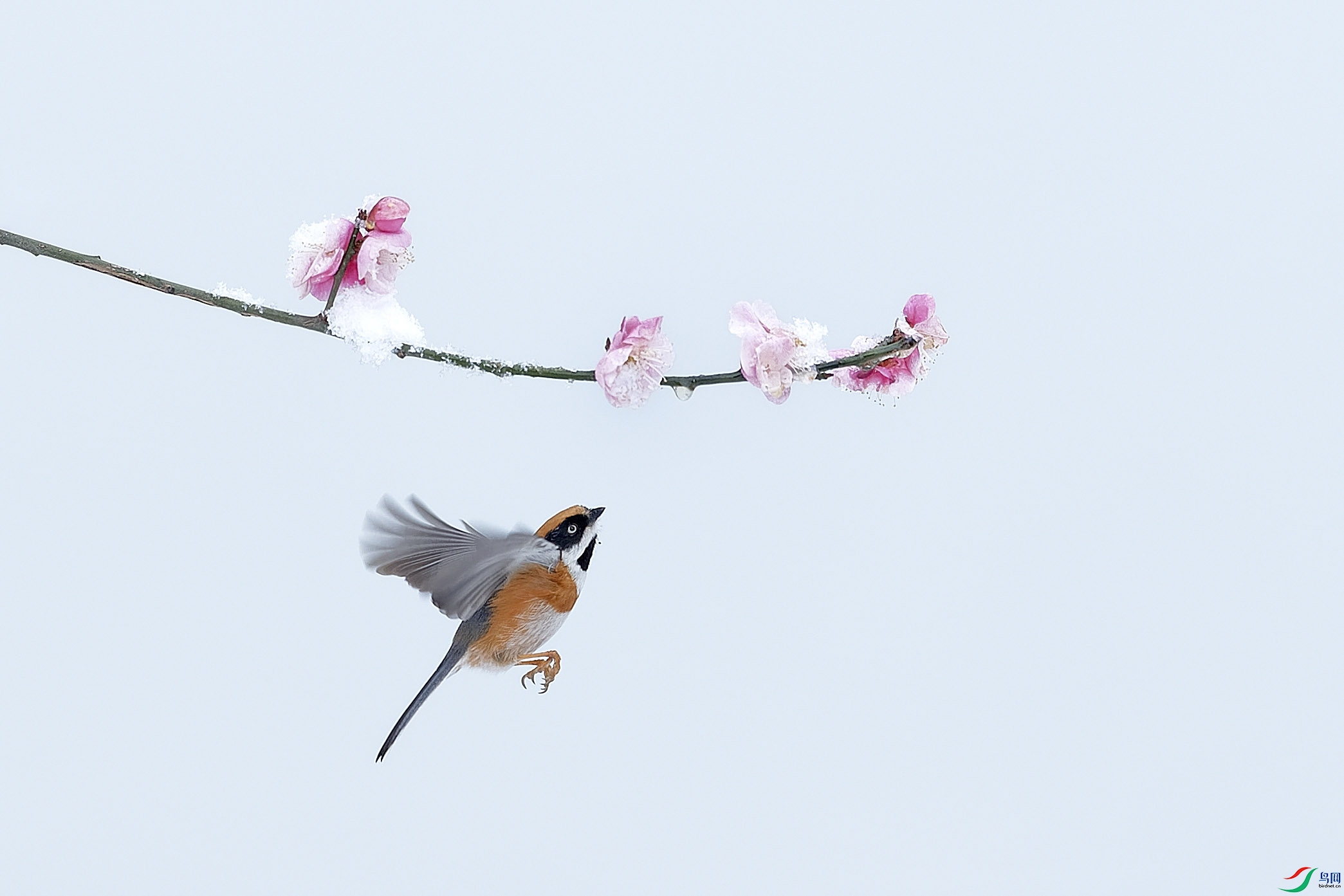 _A4I0506_DxOС ����.jpg