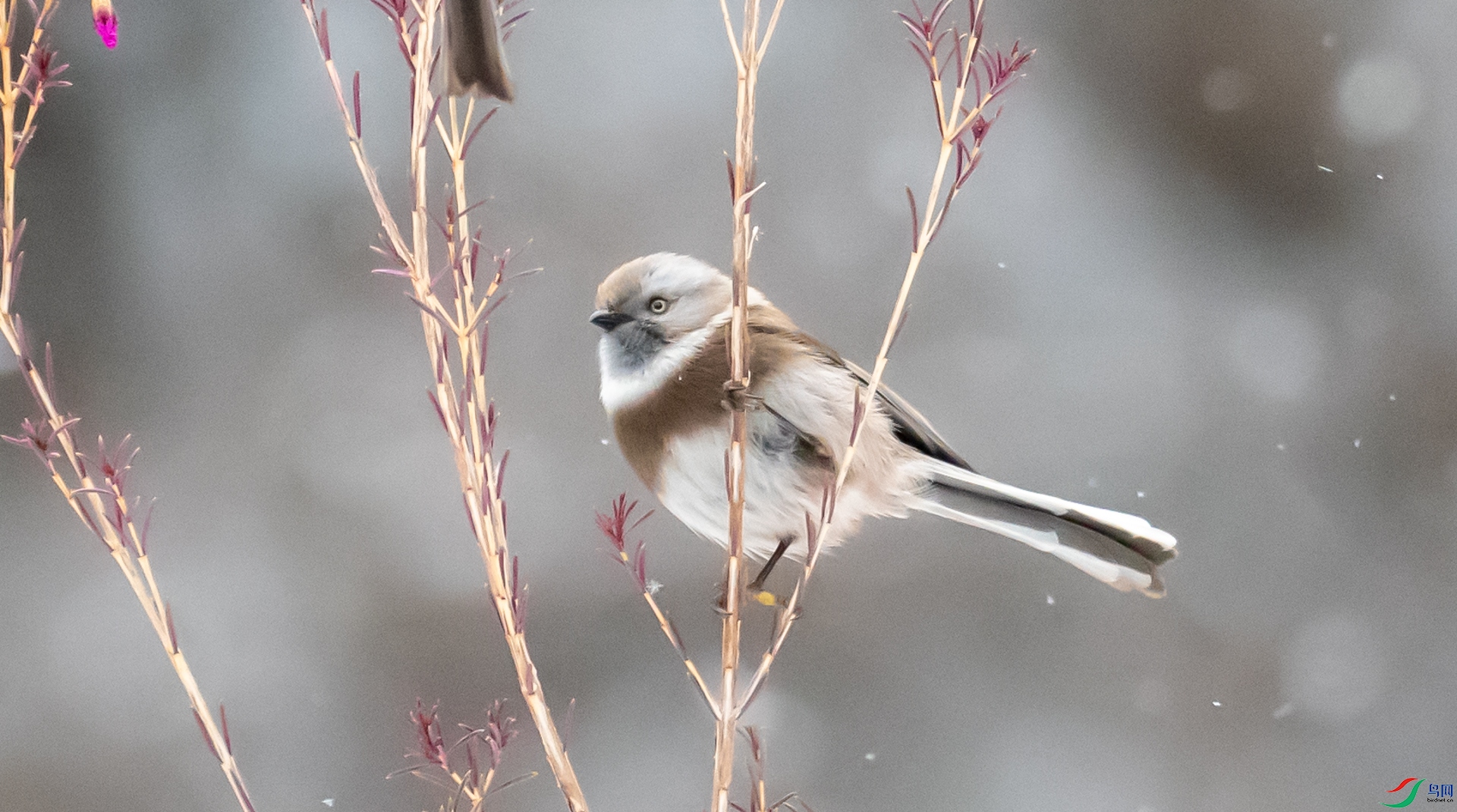 DSC_9705.jpg