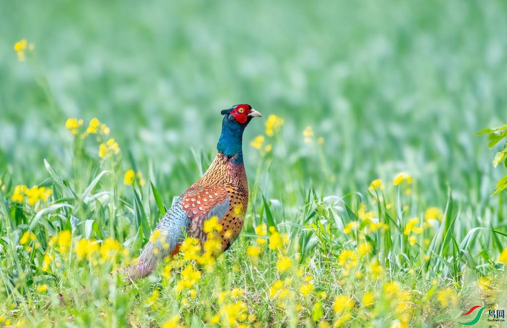 DSC_6235 ����-Exposure.jpg