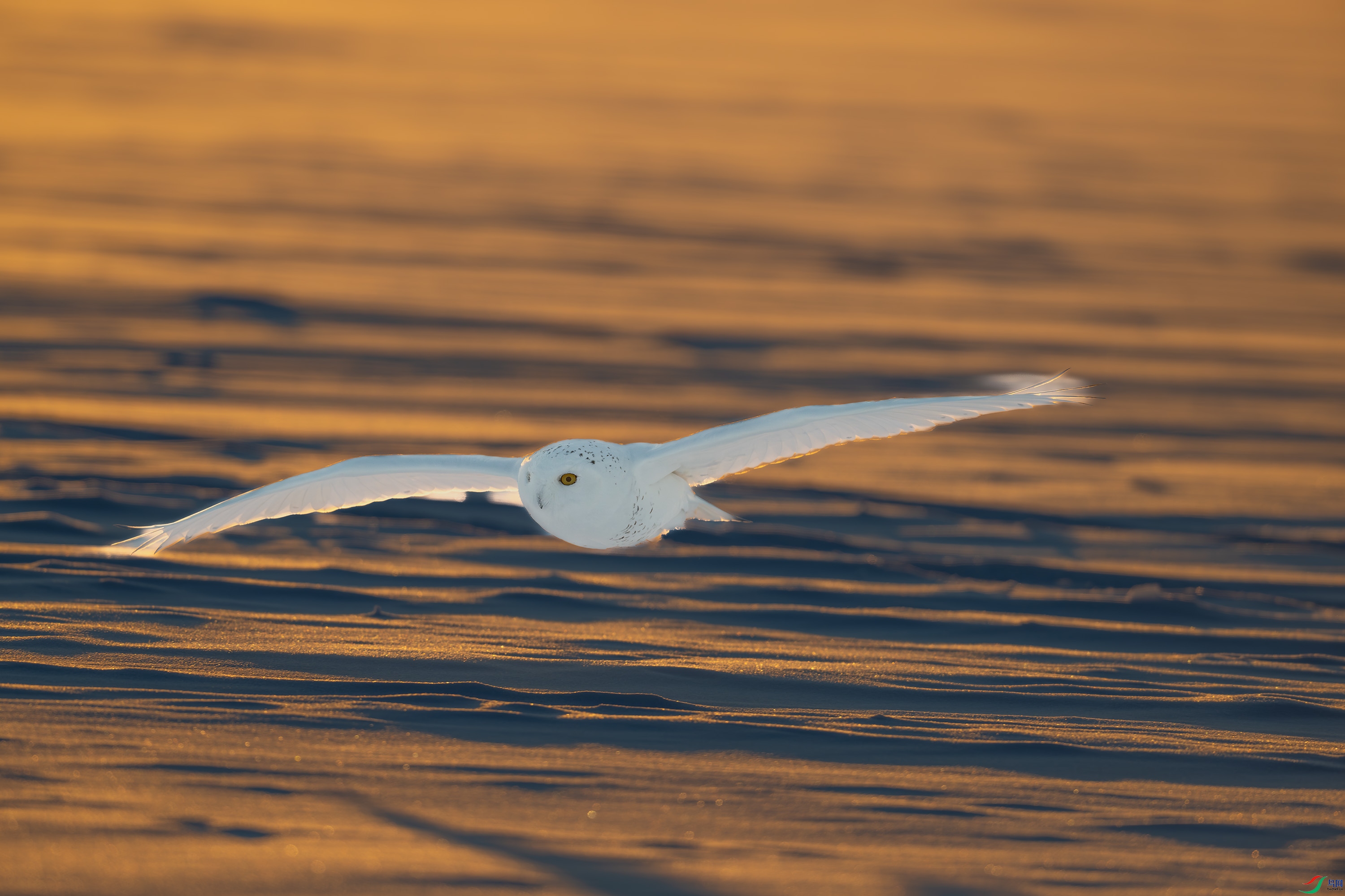 Ϧ���¡���