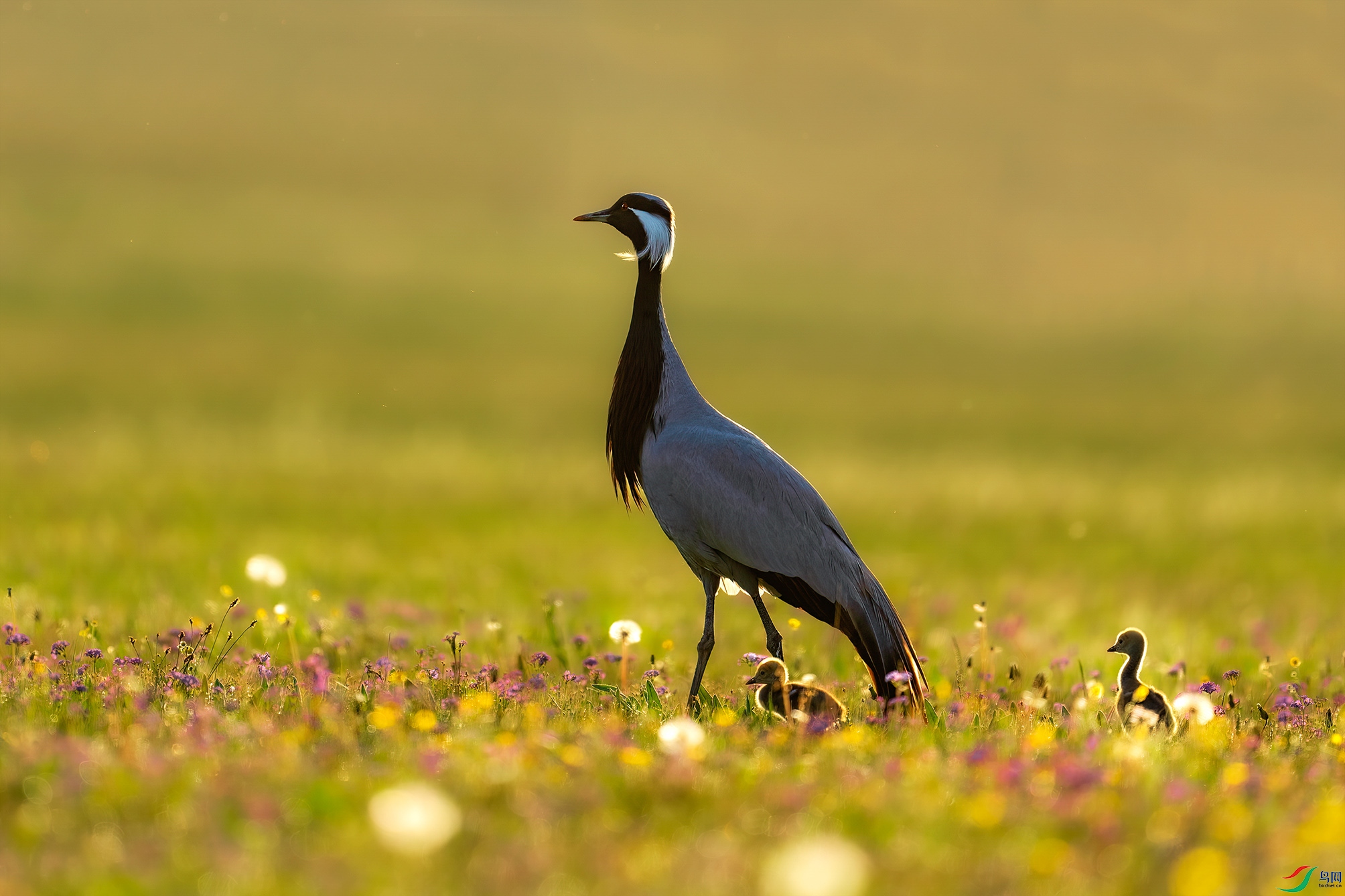 DSC00418 -x����.jpg