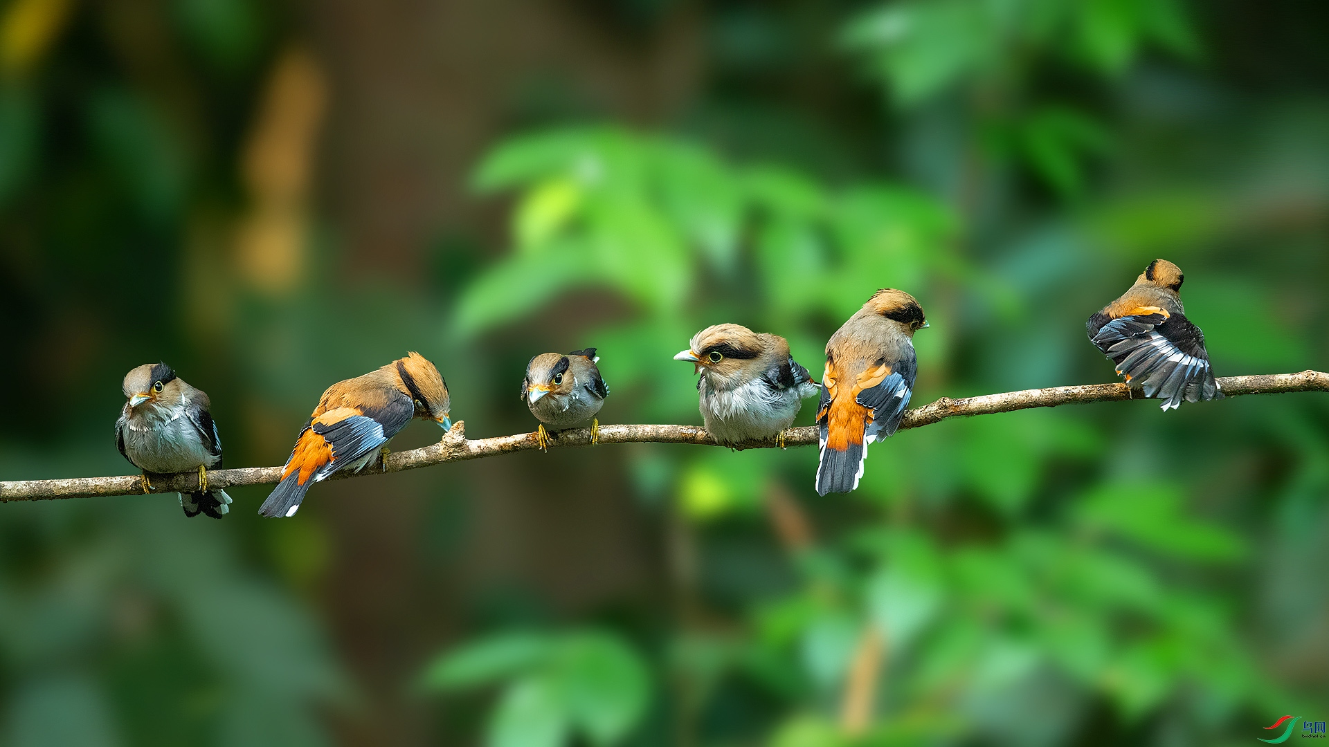 DSC_3631.jpg