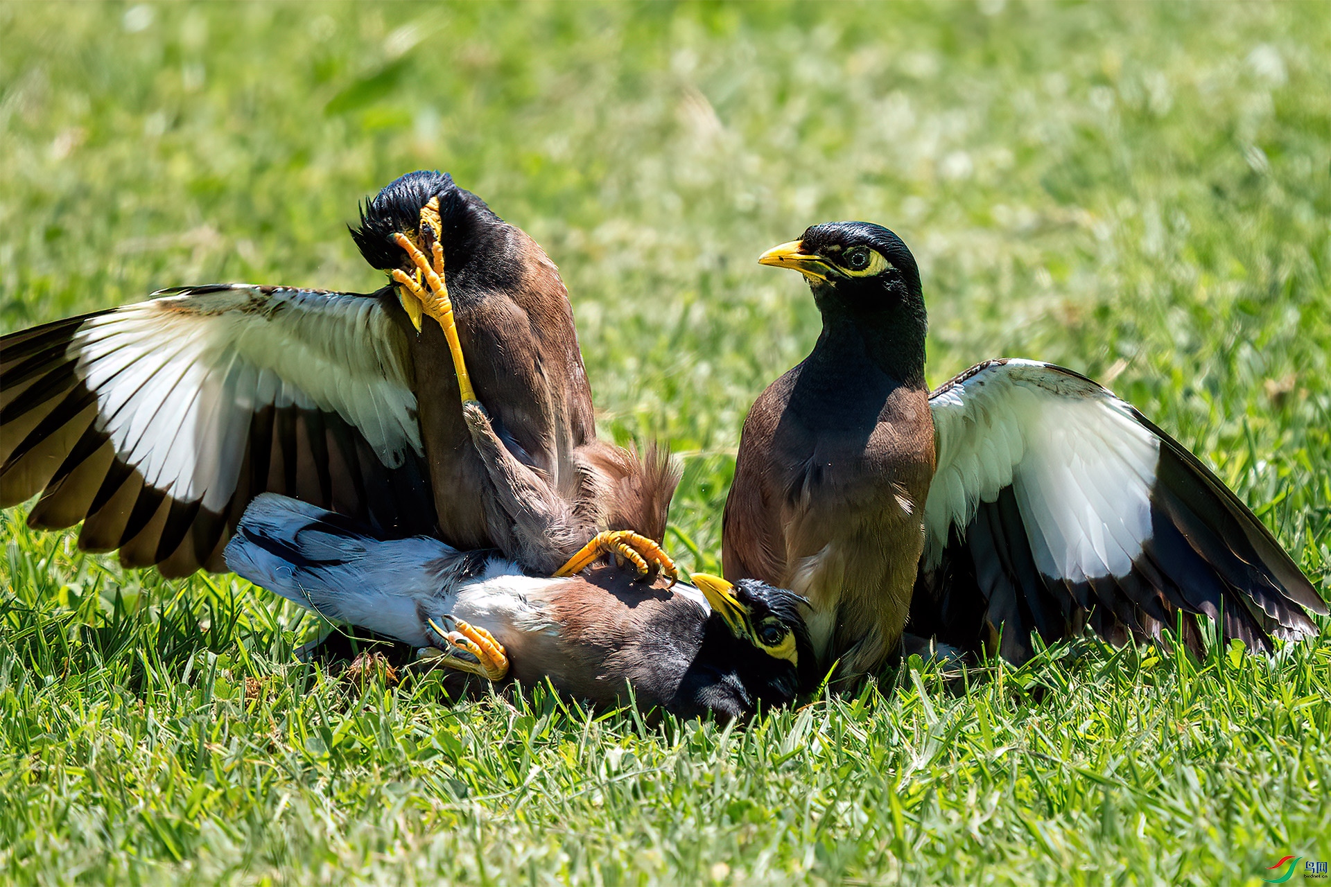 P1090361-1�Ұ˸�.jpg