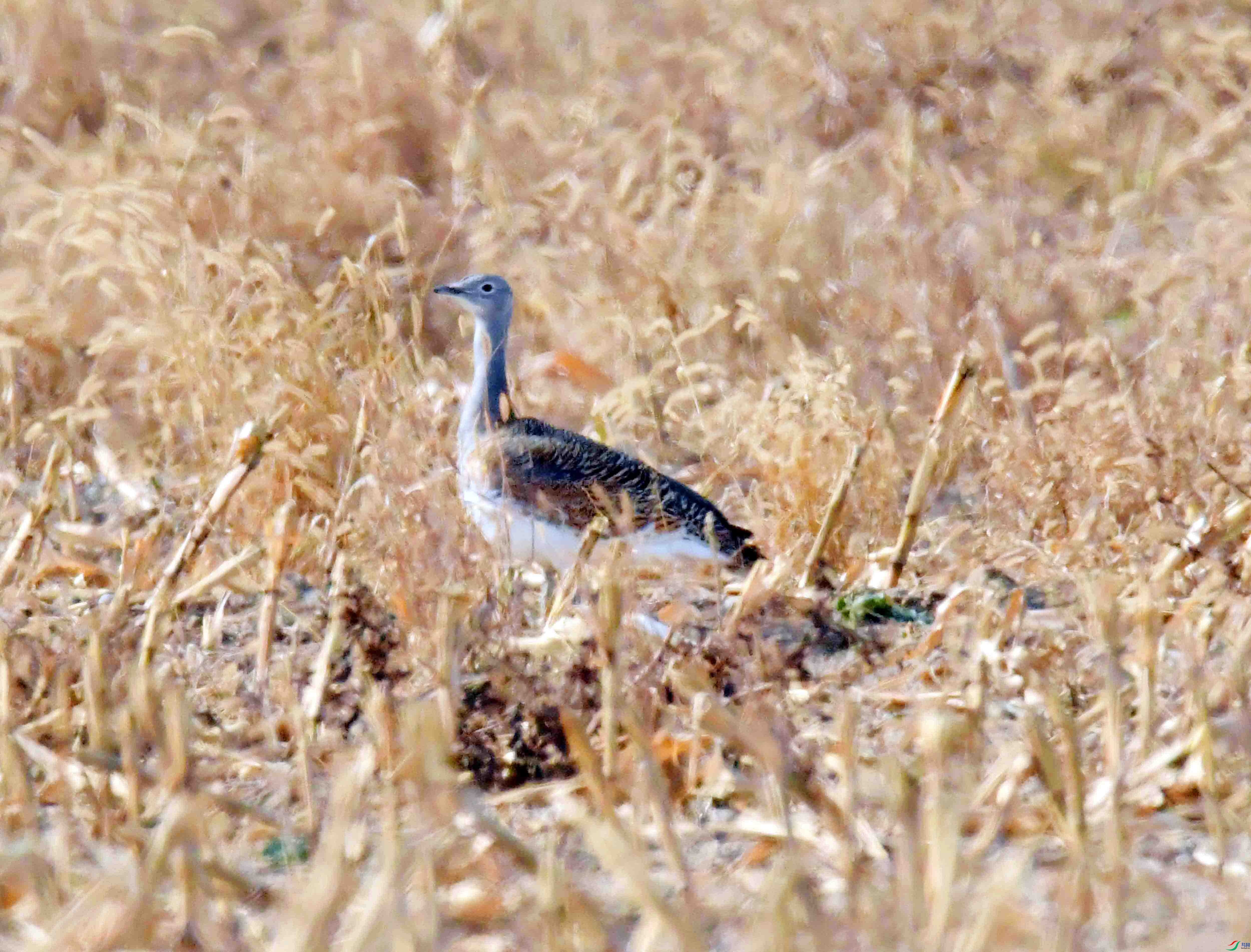 DSC_0560.JPG