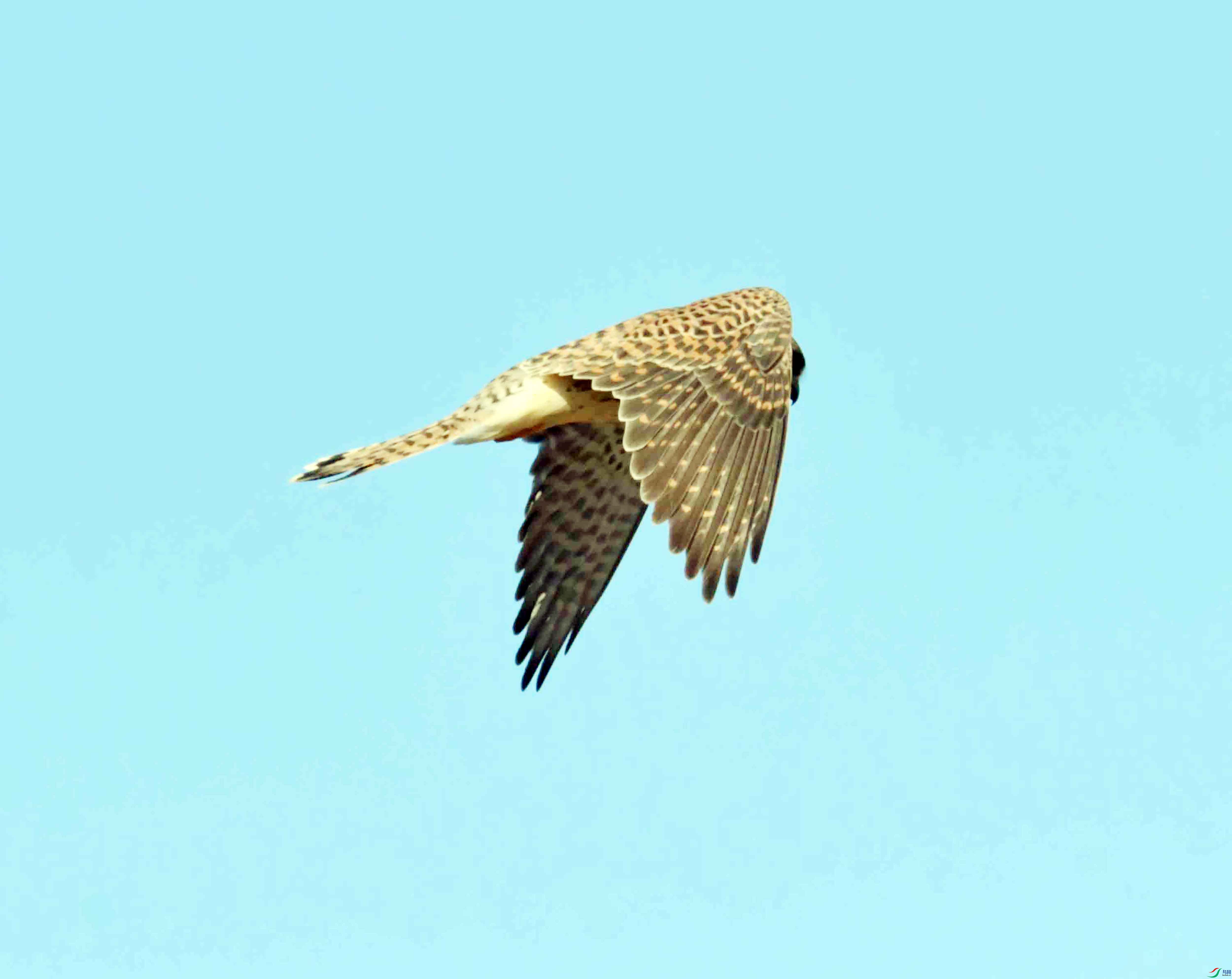 DSC_3168.JPG