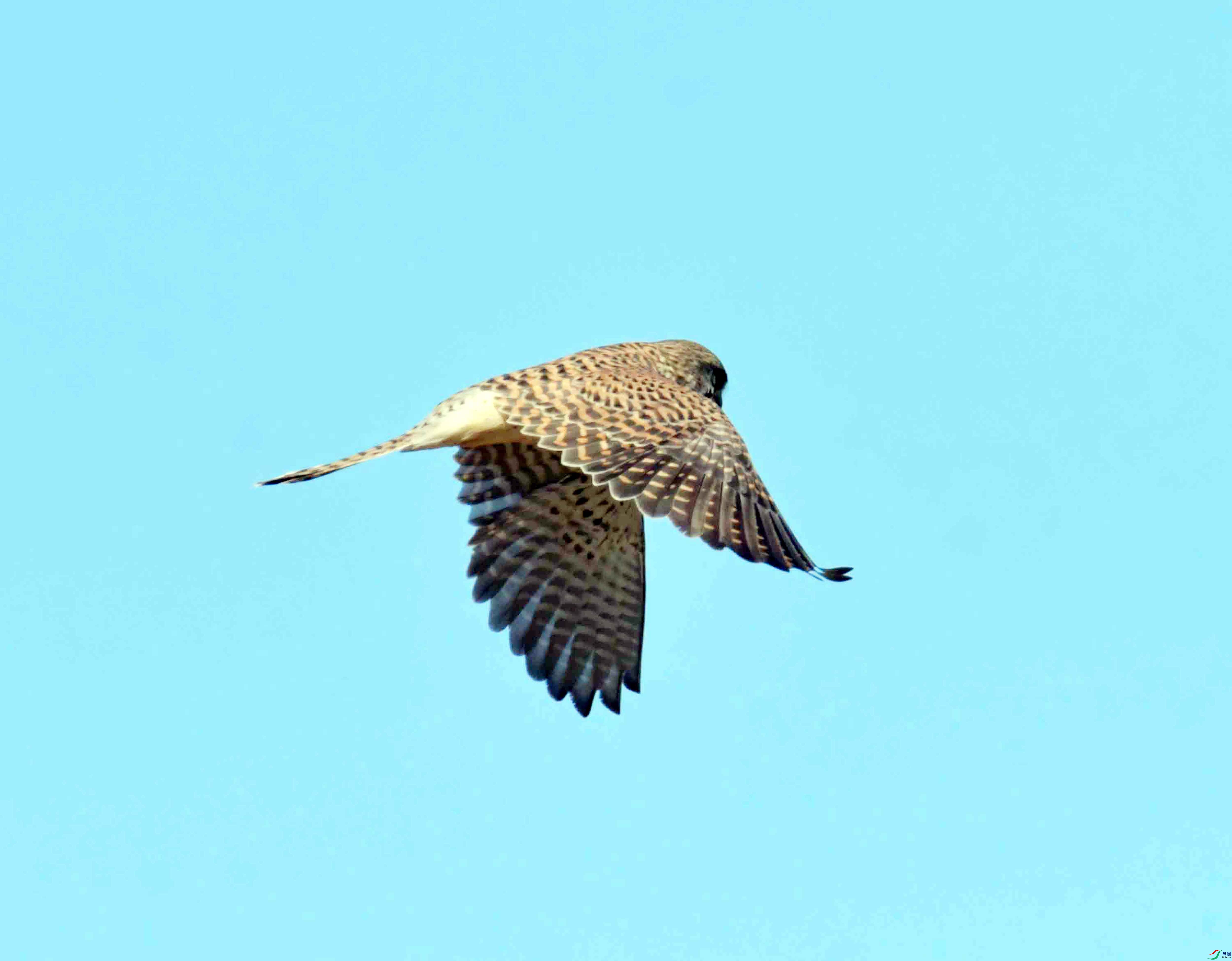 DSC_3173.JPG