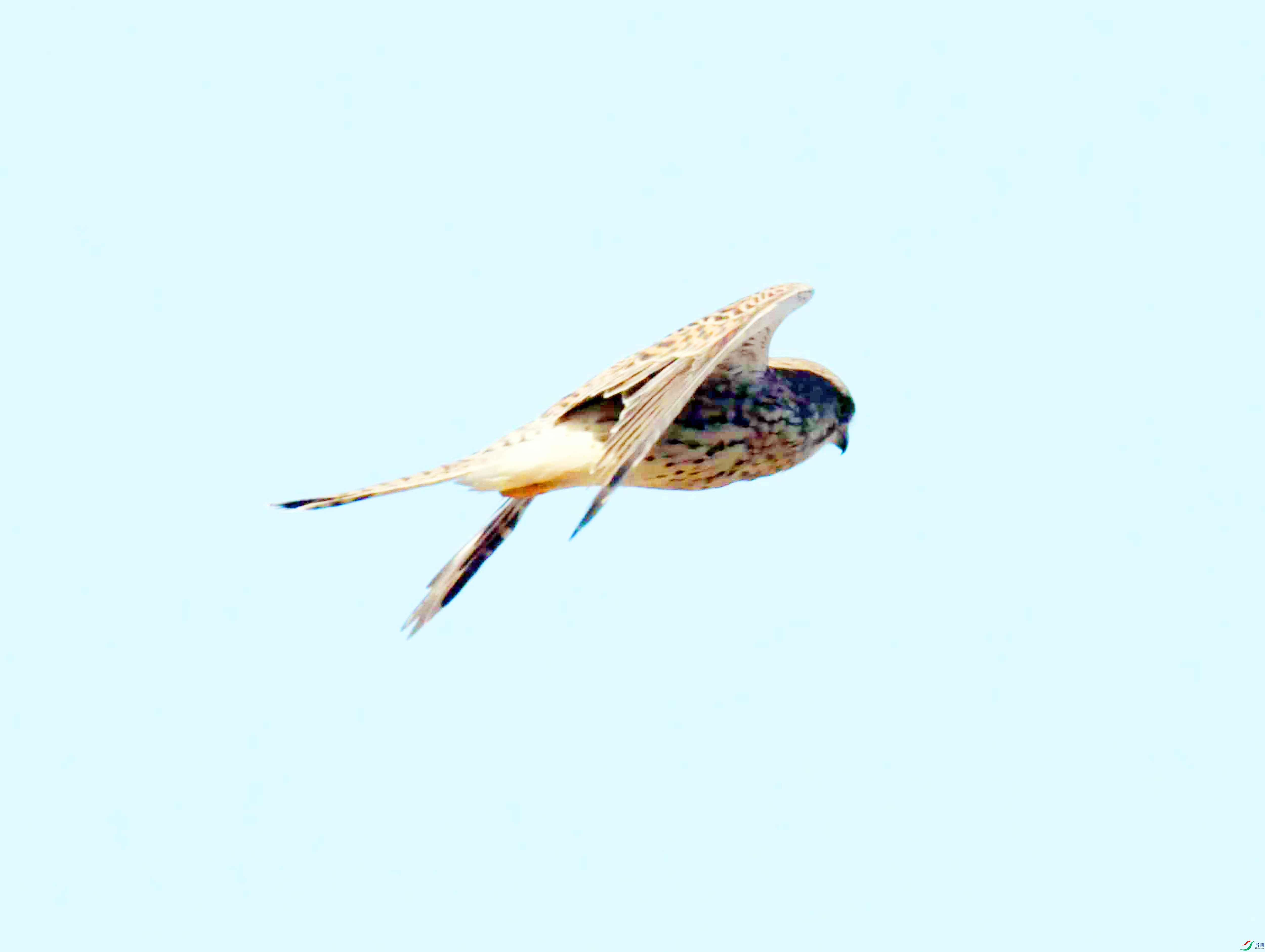 DSC_3172.JPG