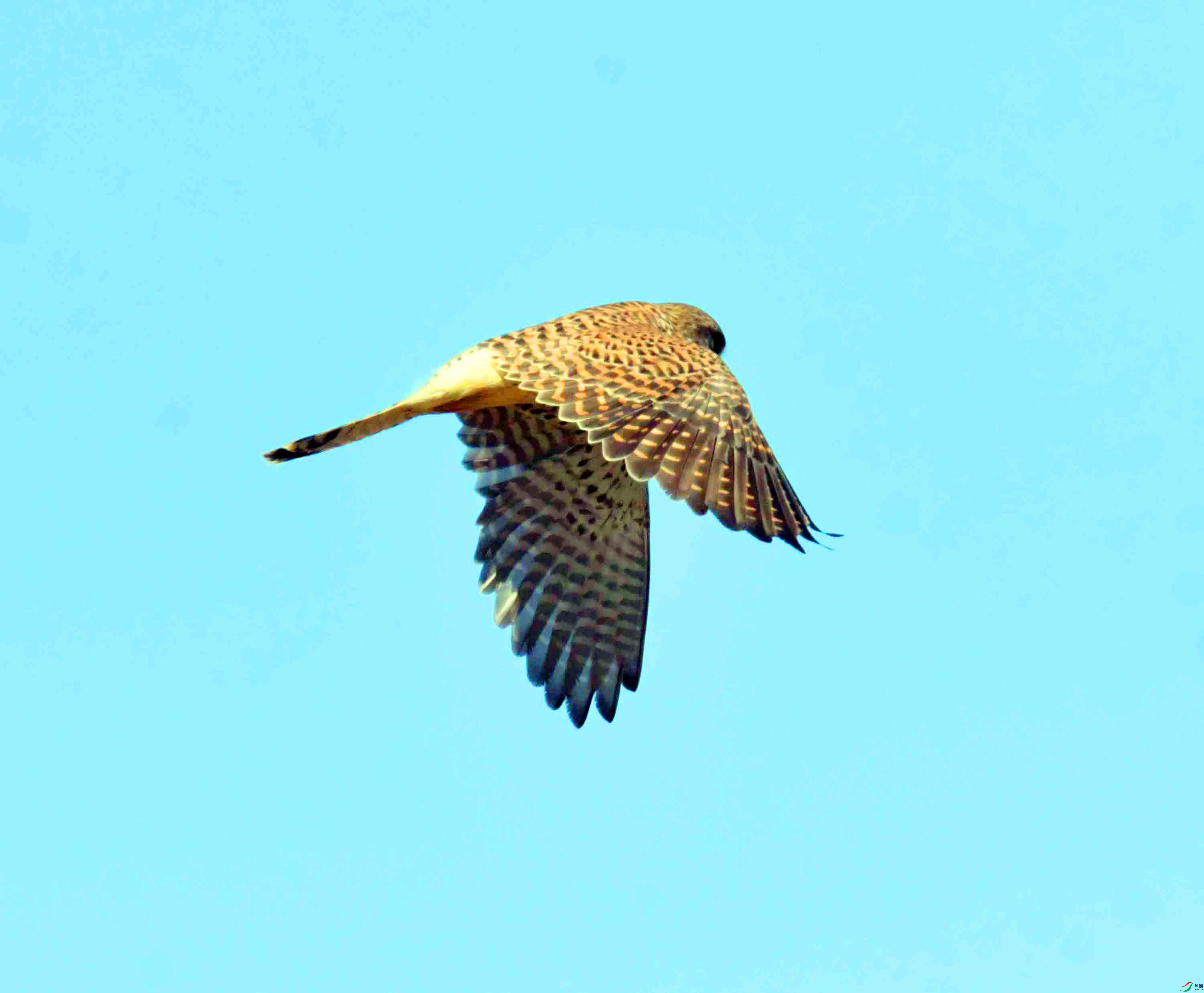 DSC_3174.JPG