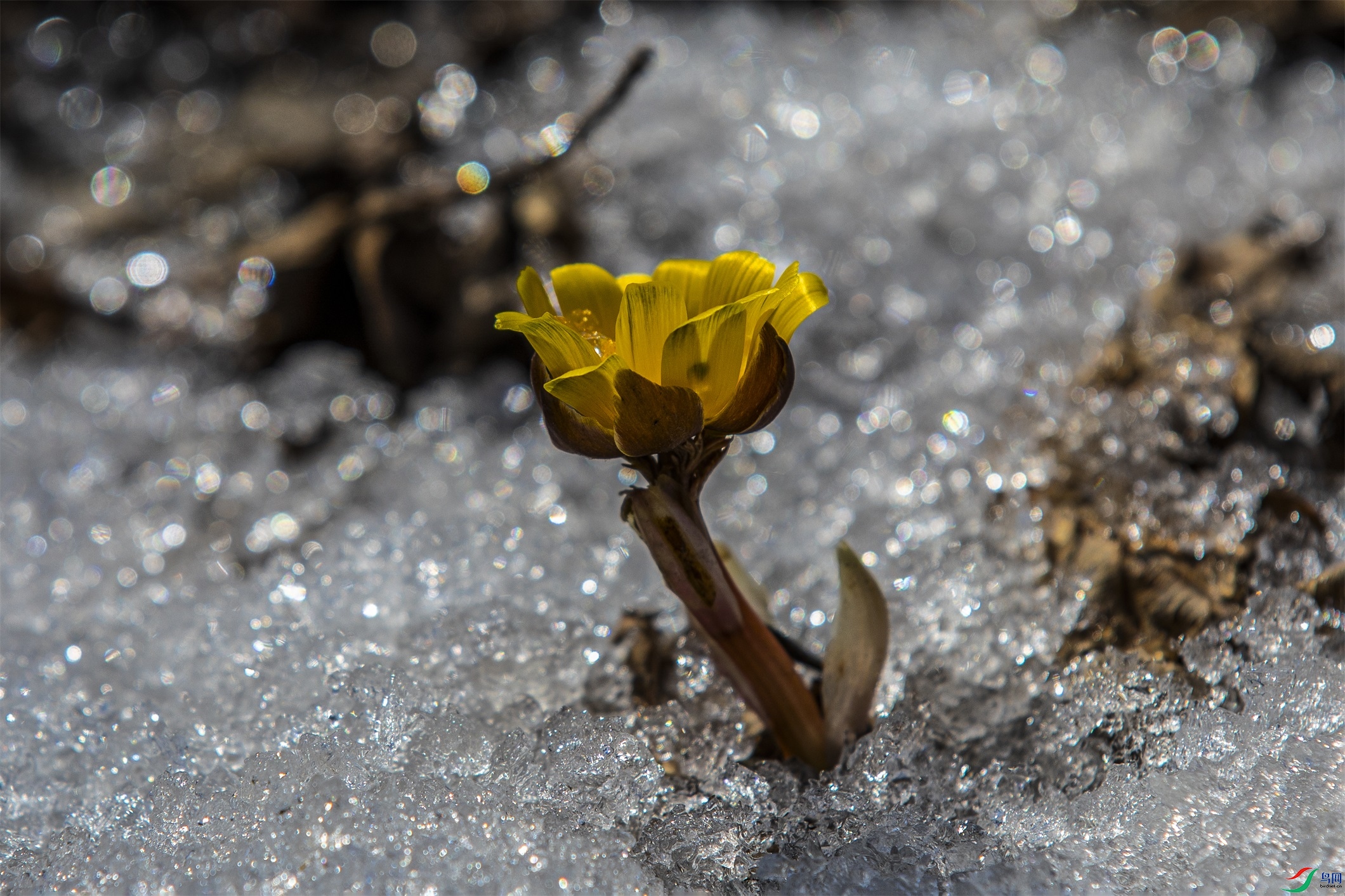 CY4A0638 ����1.jpg