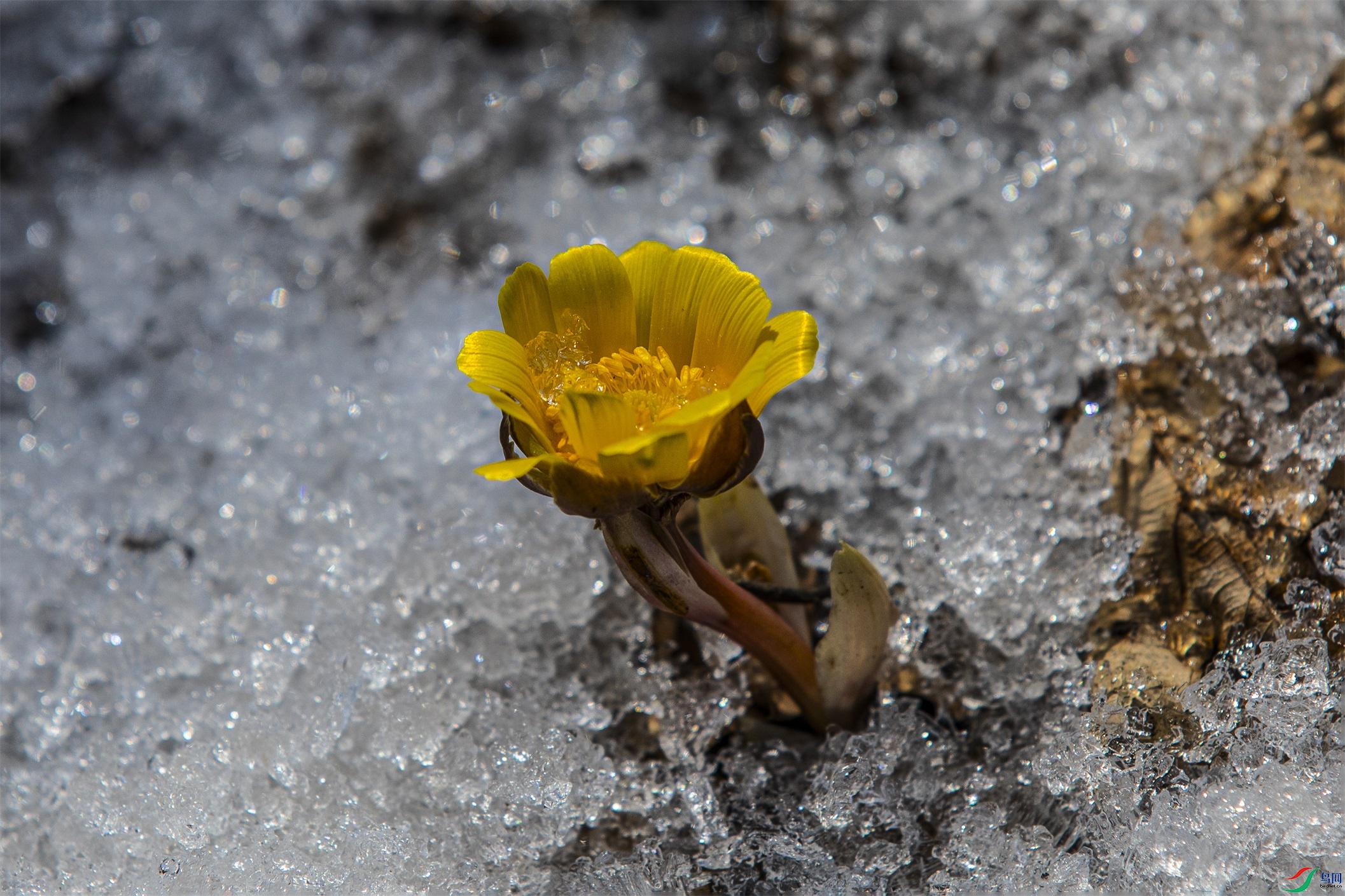 CY4A0636 ����1.jpg