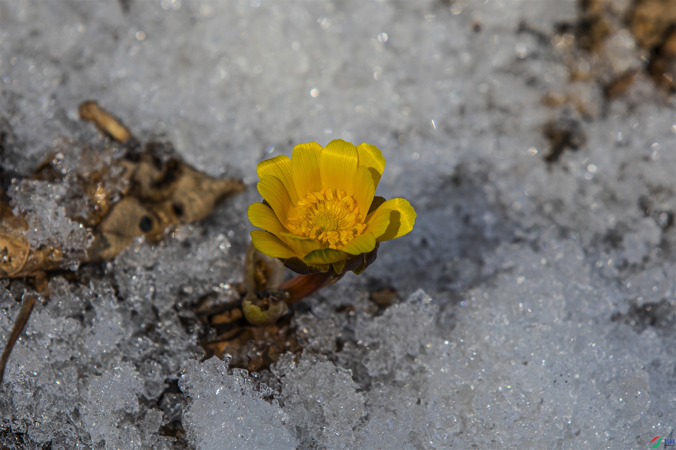 CY4A0631 ����1.jpg