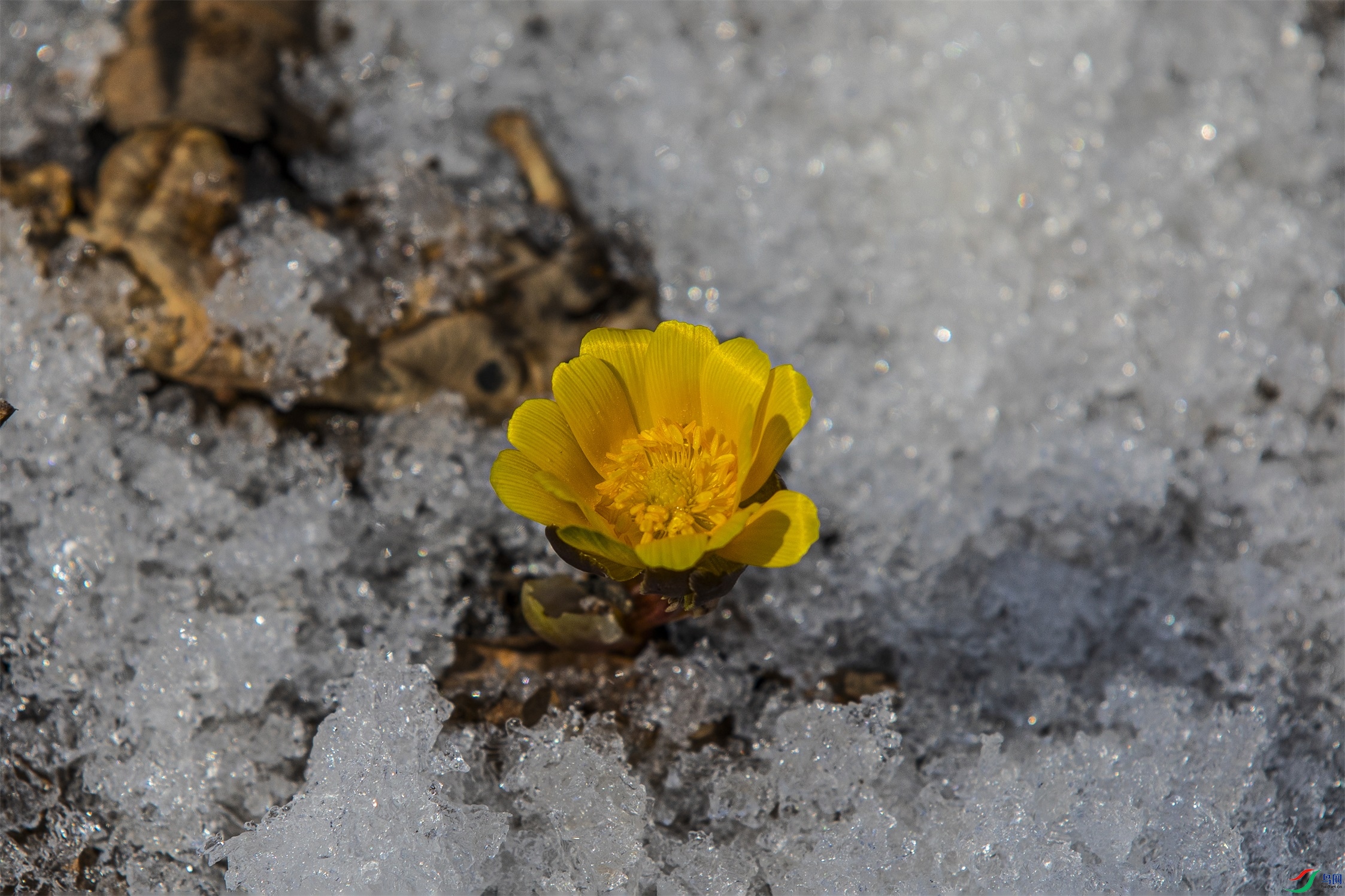 CY4A0630 ����1.jpg