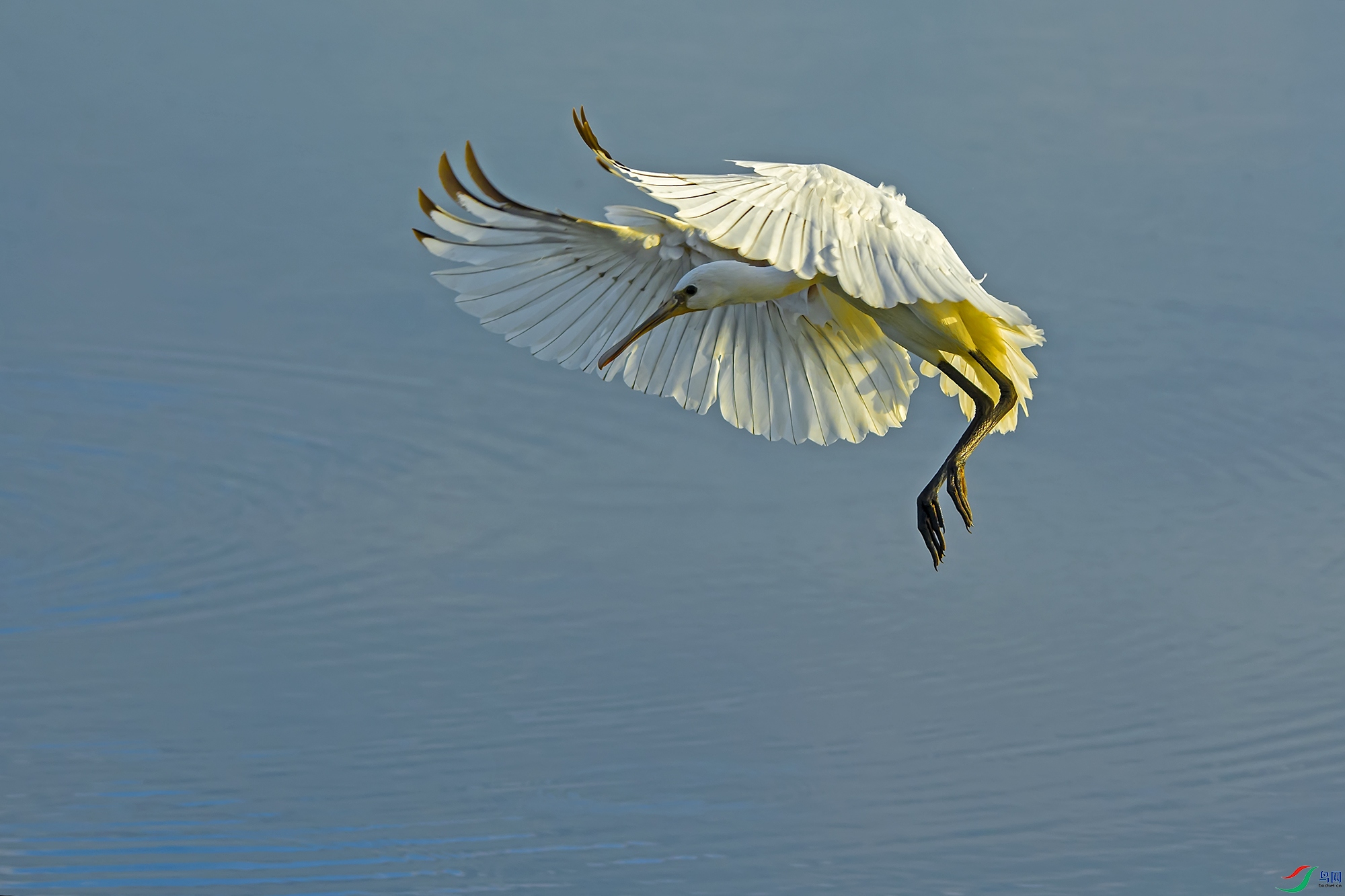DSC_5767.jpg