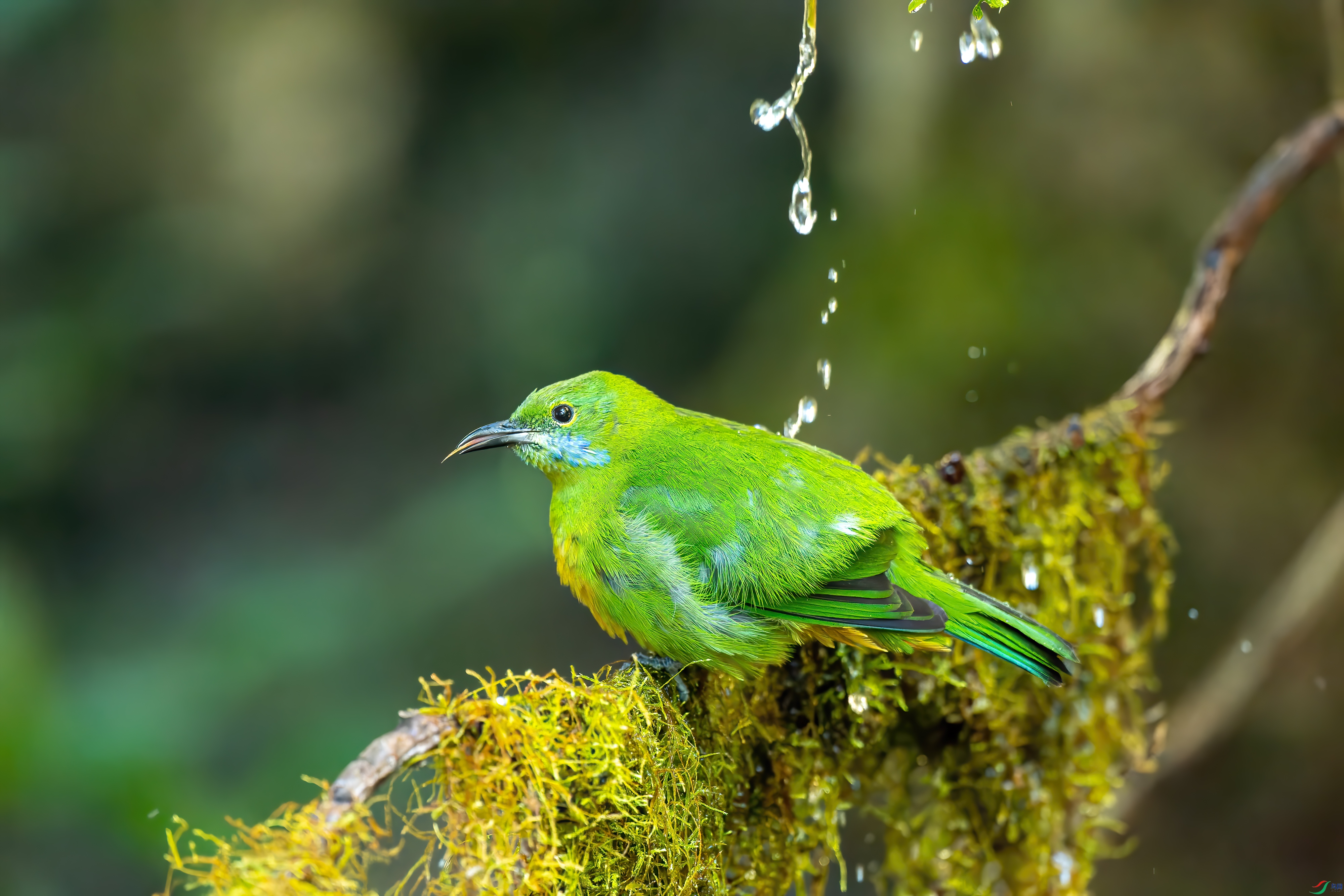 DSC_1003.jpg