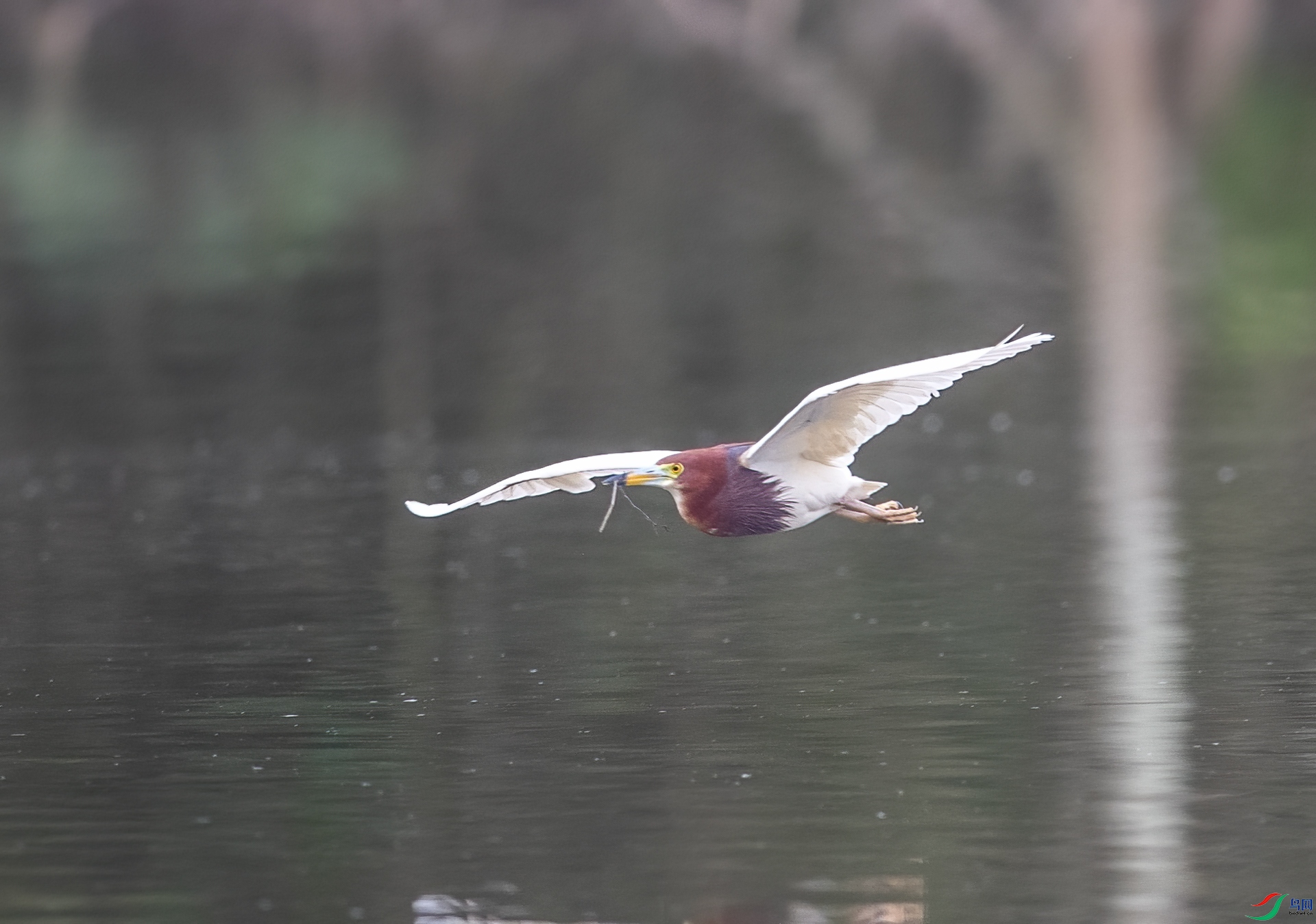 DSC_2695.jpg