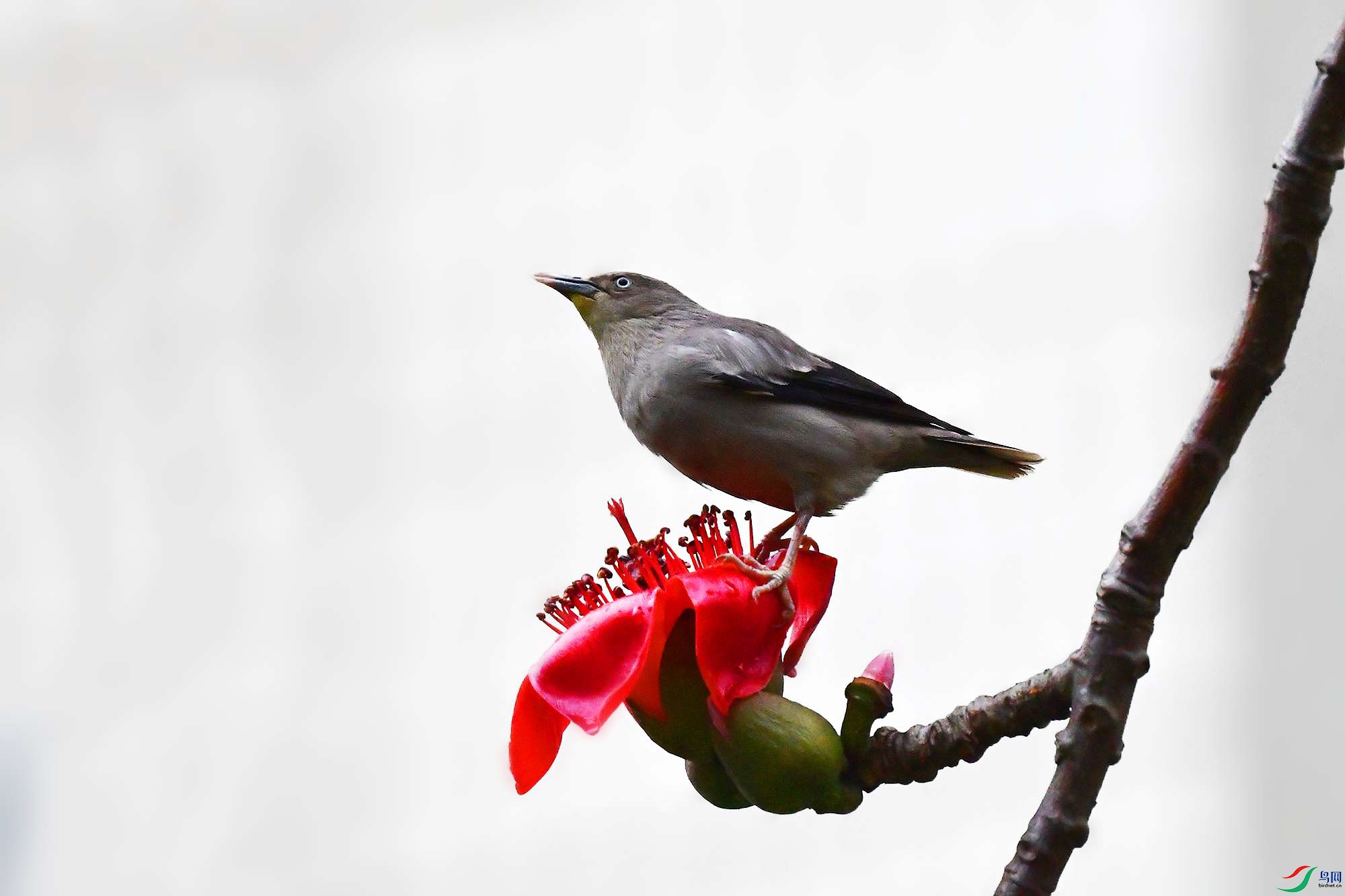 DSC_1686_.jpg