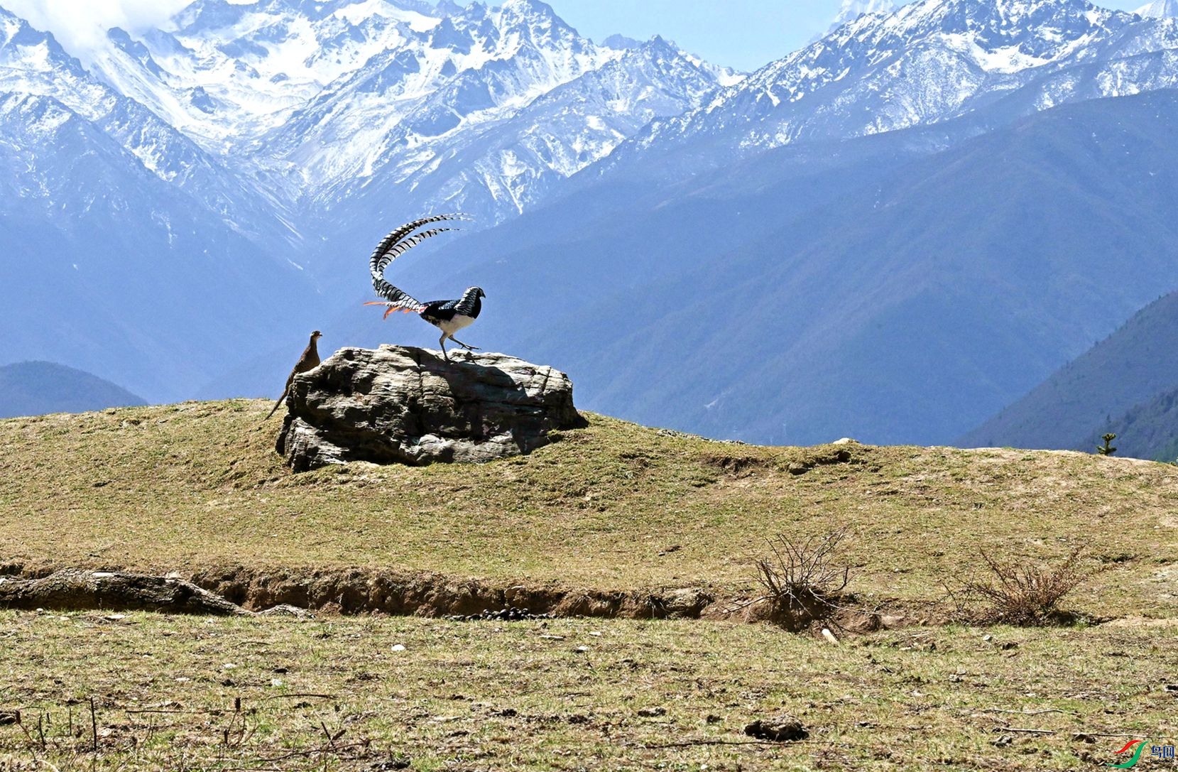 ؕ��ѩɽǰ��